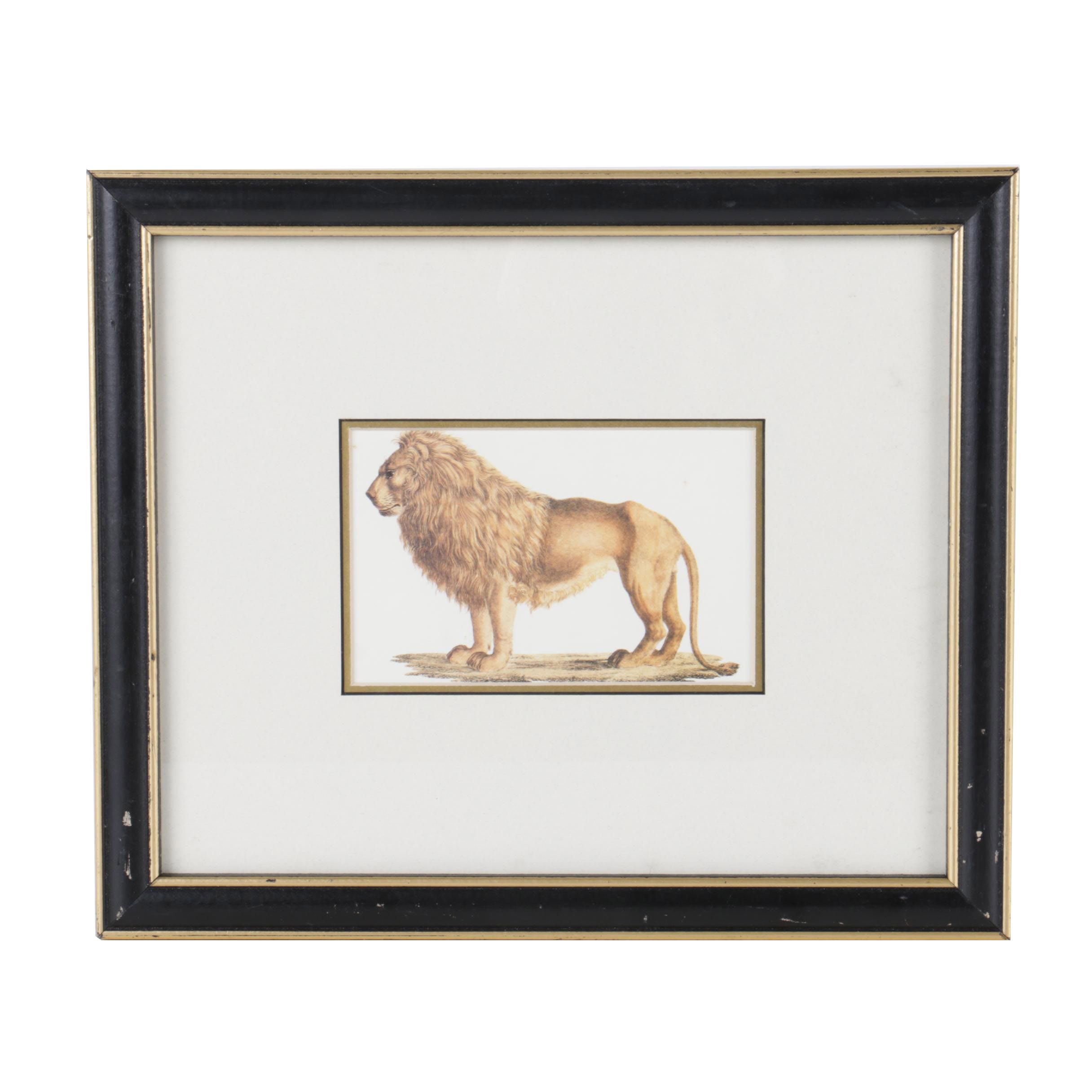 Reproduction Print After Karl Joseph Brodtmann of a Lion