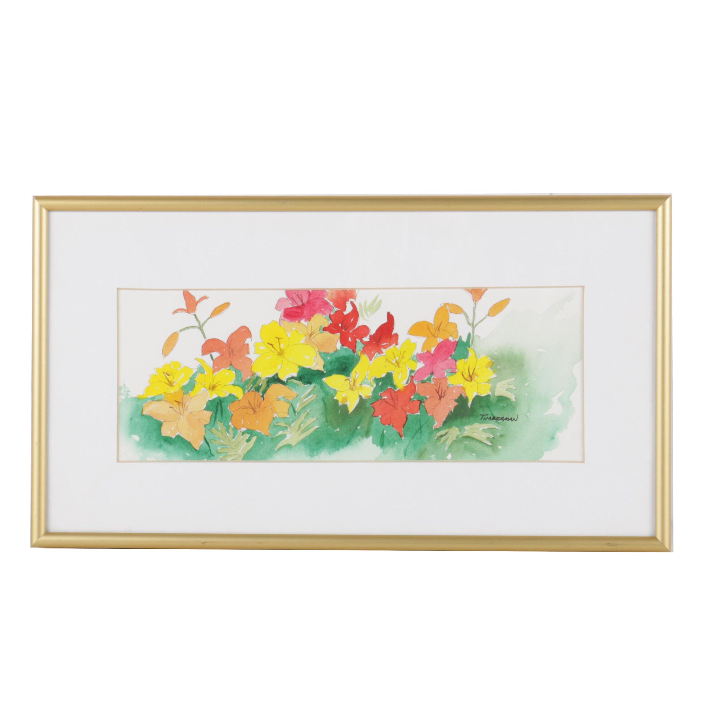 Timberman Watercolor Painting of Daylilies