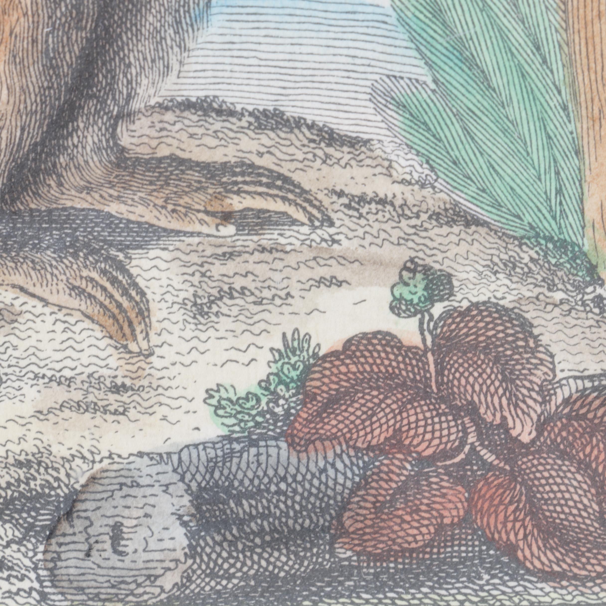 Hand-Tinted Lithograph on Paper "Mandrill"