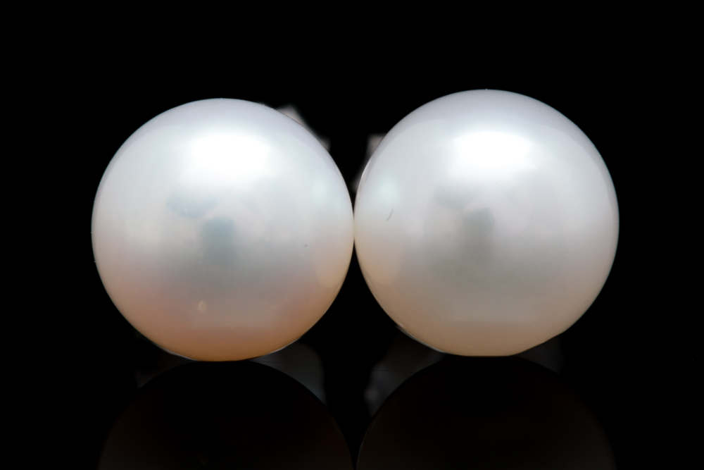 14K White Gold and Cultured Pearl Stud Earrings