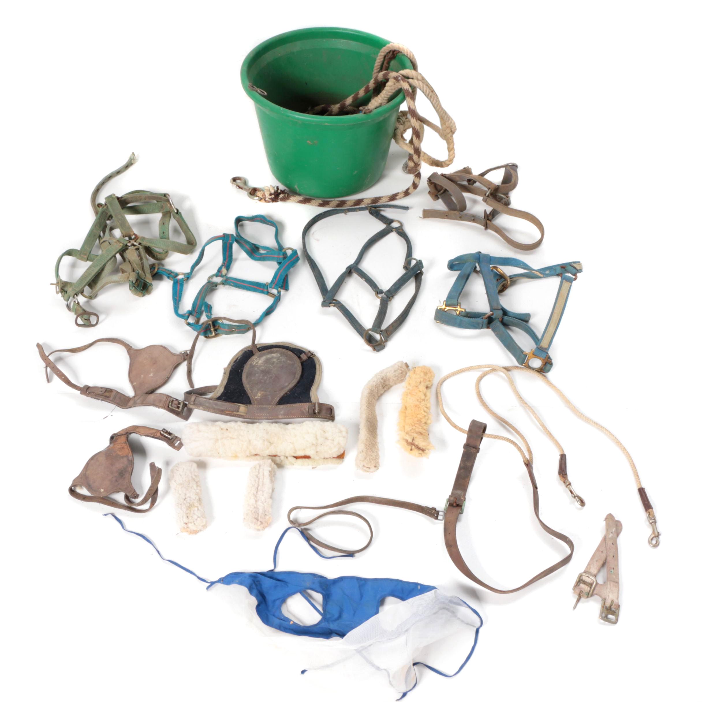 Horse Bridles and Other Equestrian Accessories
