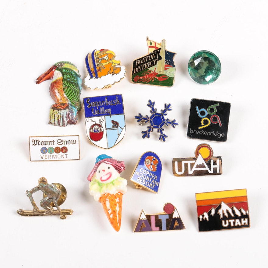 Assortment of Pins and Brooches