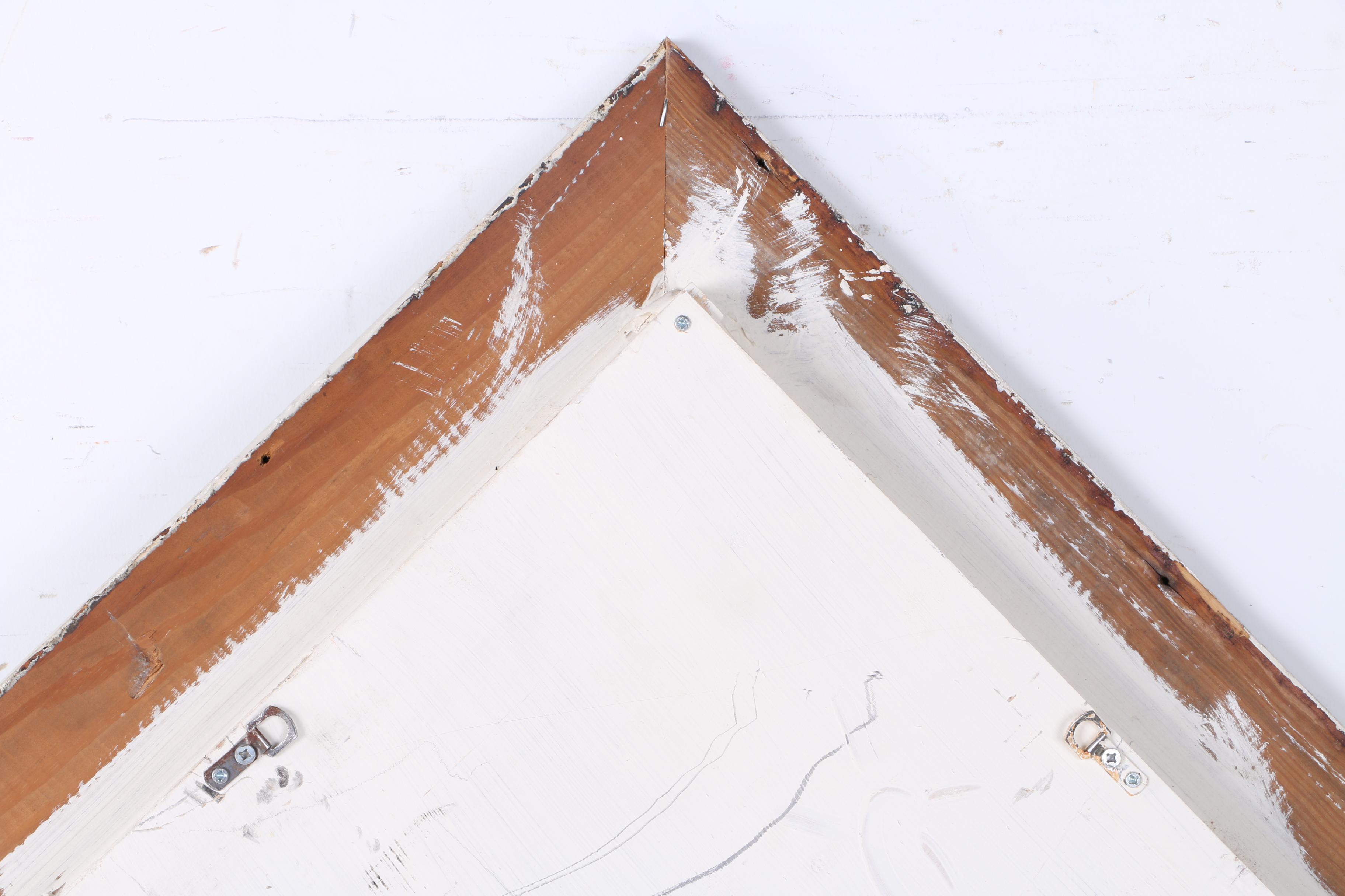 Authentic Black Sea Fan Shadowbox By Jeff Setzekorn