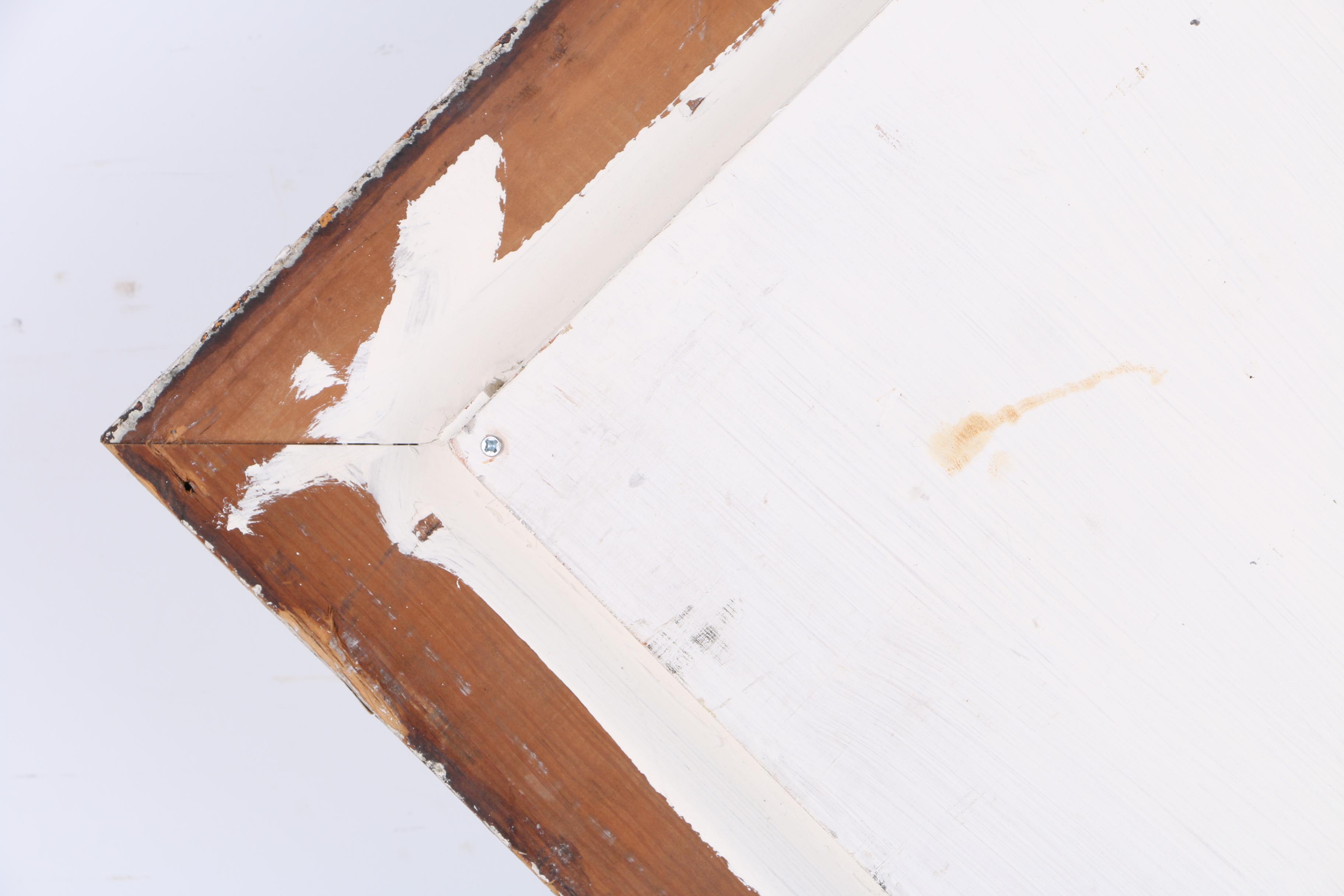 Authentic Black Sea Fan Shadowbox By Jeff Setzekorn