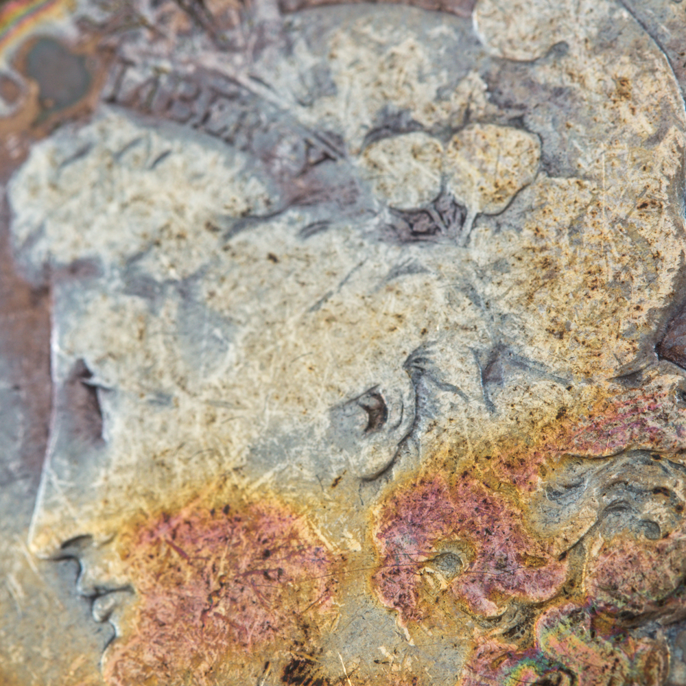 "United States Silver Dollar Collector's Edition"