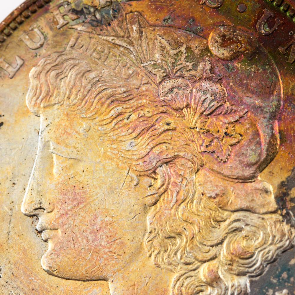 "United States Silver Dollar Collector's Edition"