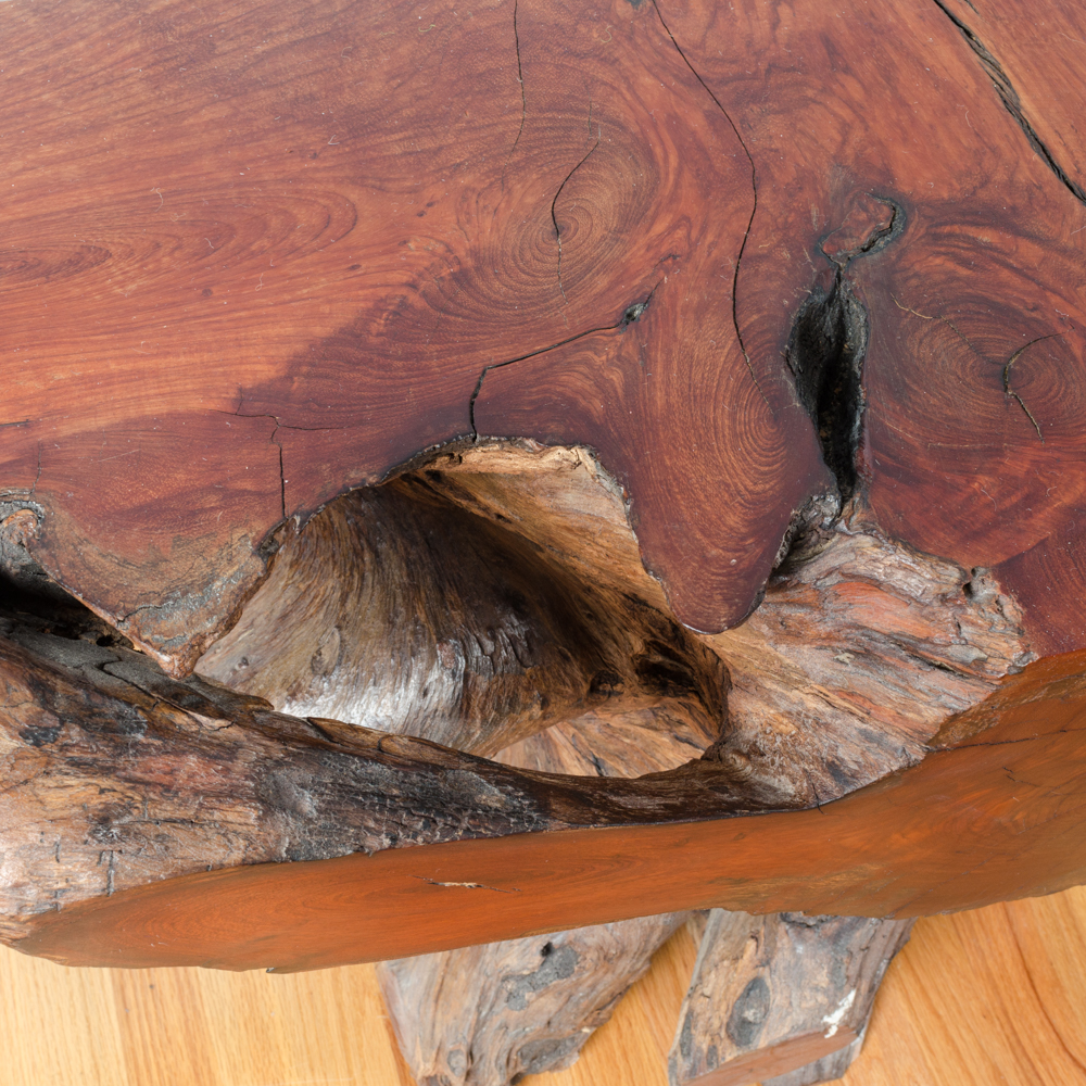 Live Edge Root Table