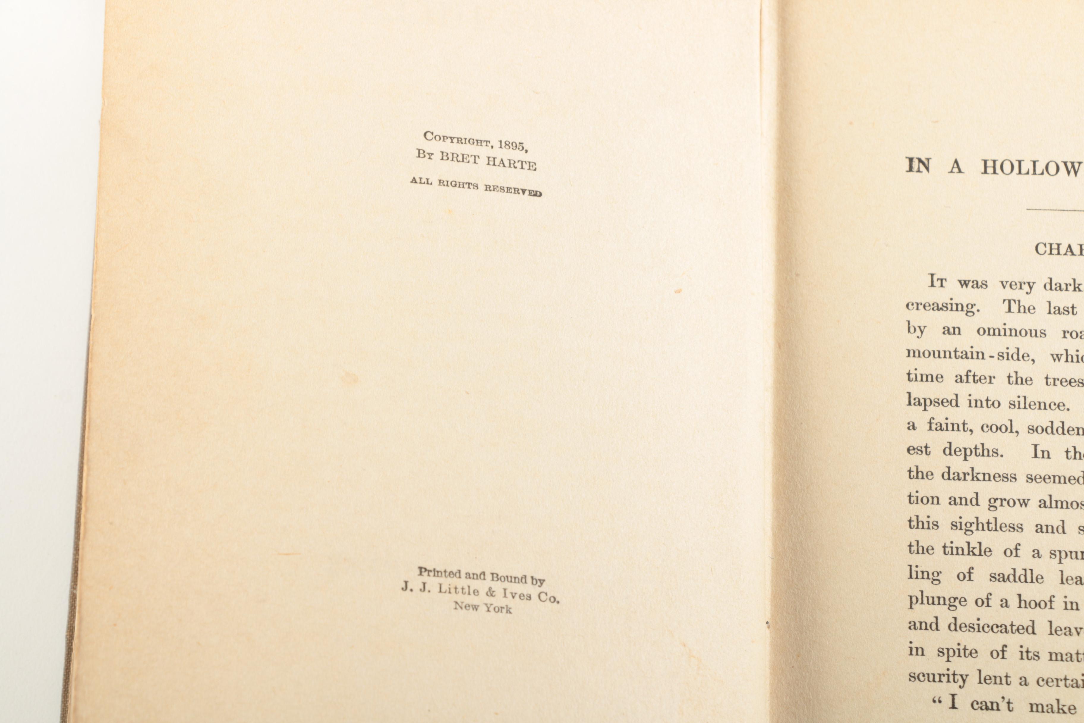 Assorted Antique and Vintage Hardcover Books