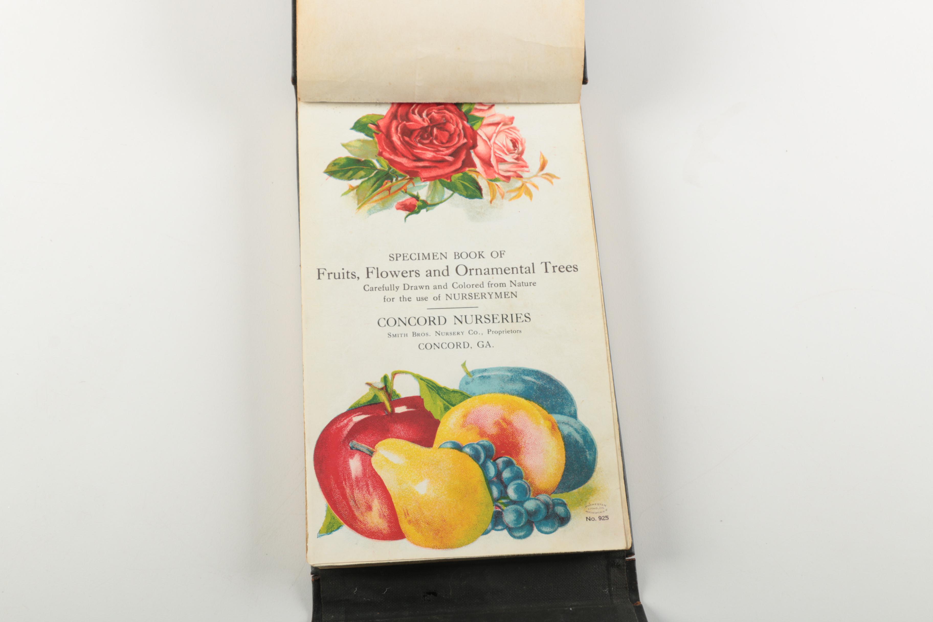 Vintage Books featuring "Swiss Family Robinson"