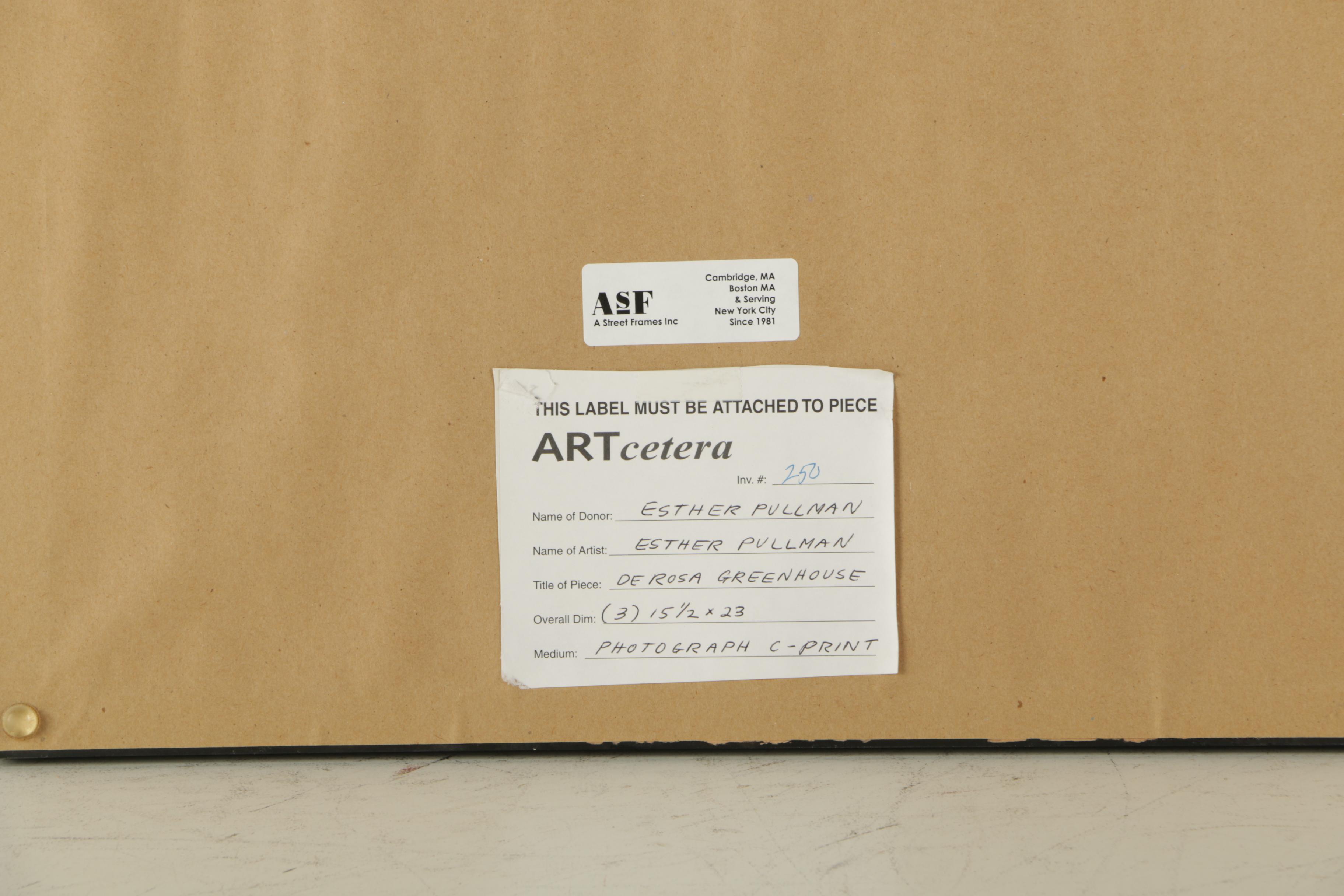 Esther Pullman C-Print Photographs "De Rosa Greenhouse"