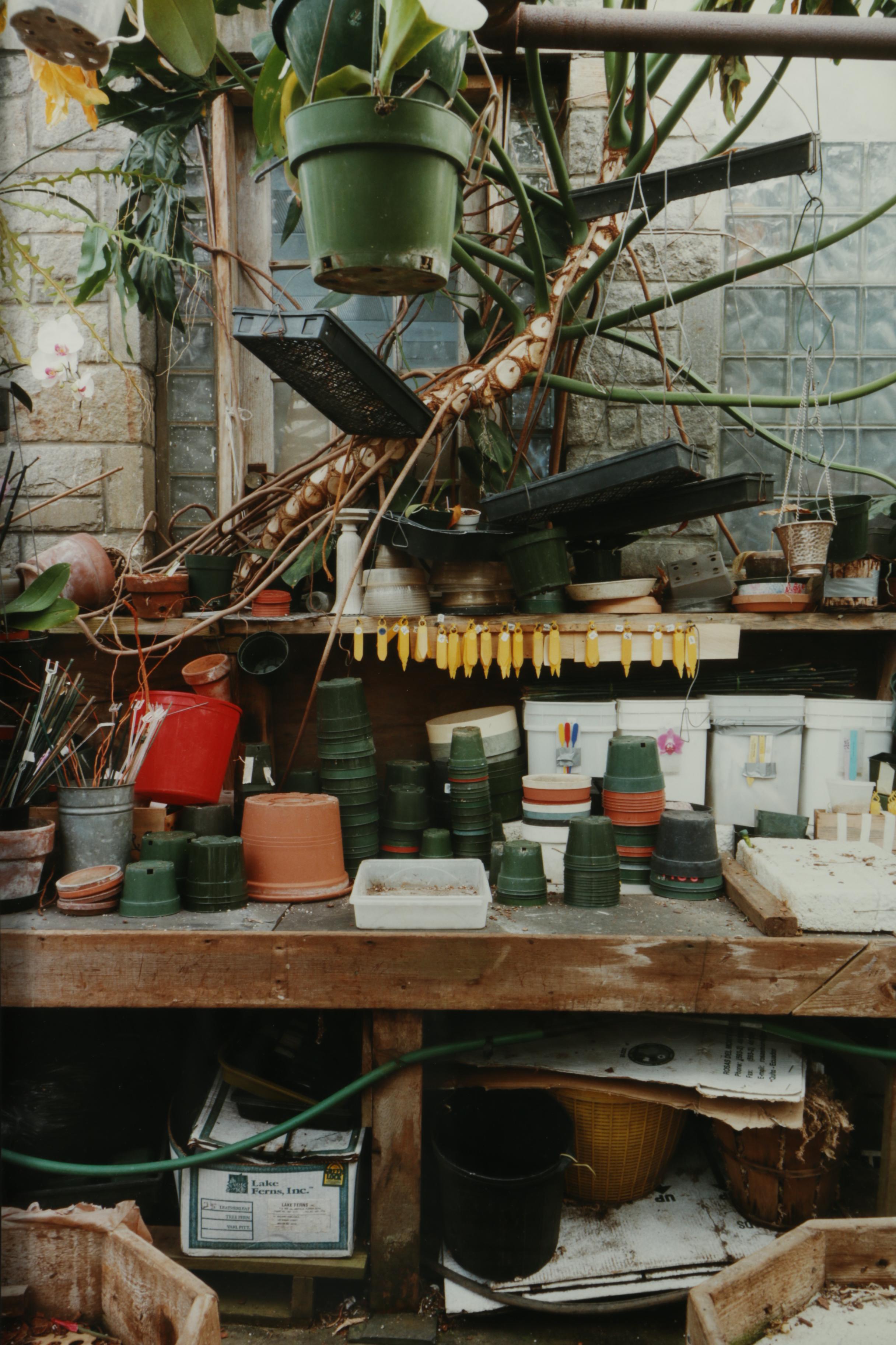 Esther Pullman C-Print Photographs "De Rosa Greenhouse"