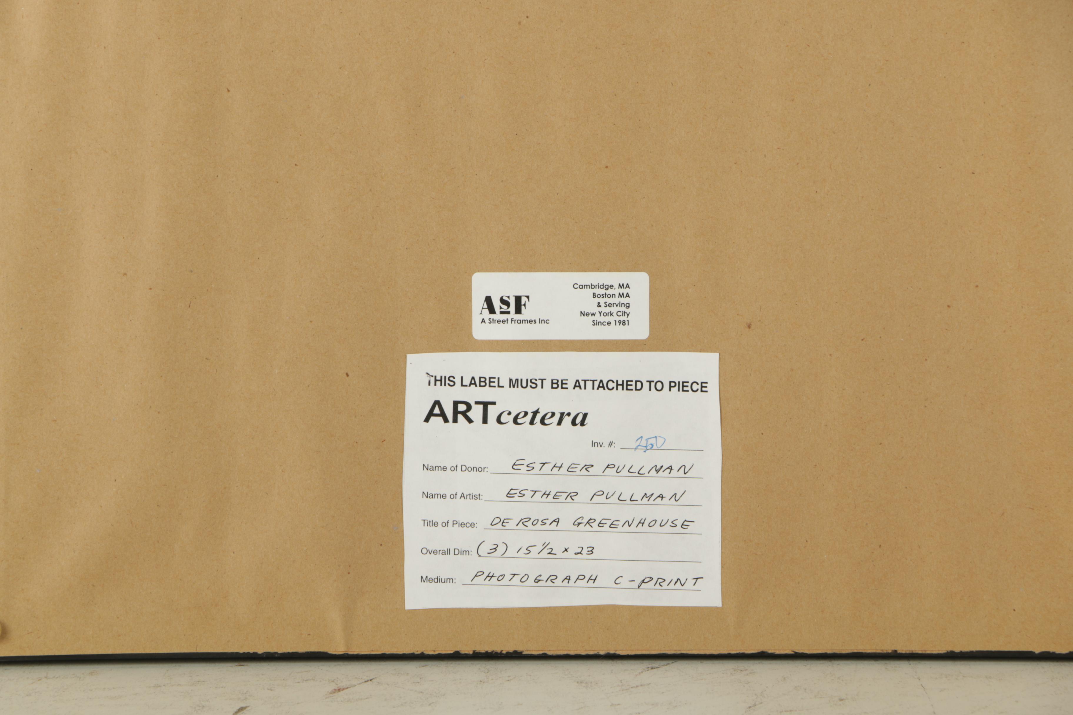 Esther Pullman C-Print Photographs "De Rosa Greenhouse"