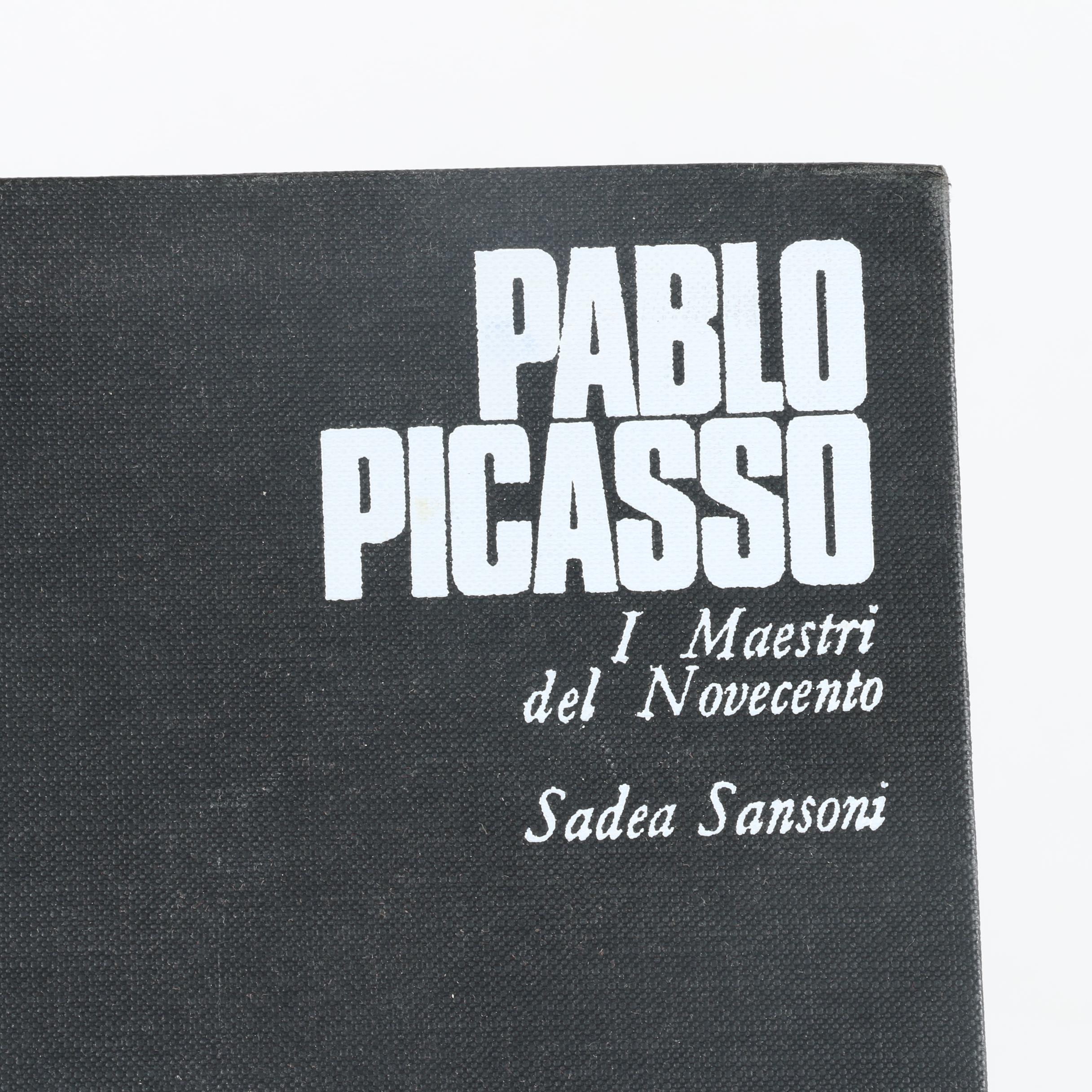 Italian Language Art and Design Books