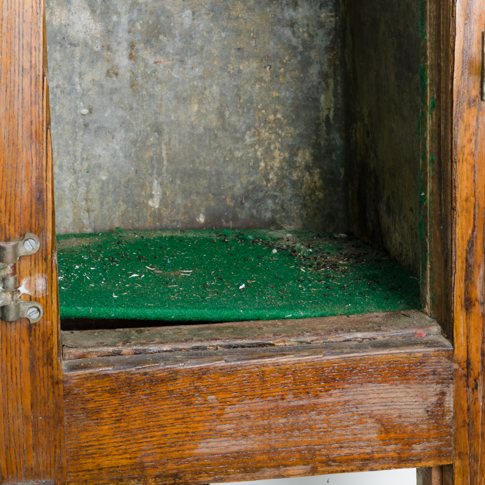 Vintage Rose FrostAir Ice Box