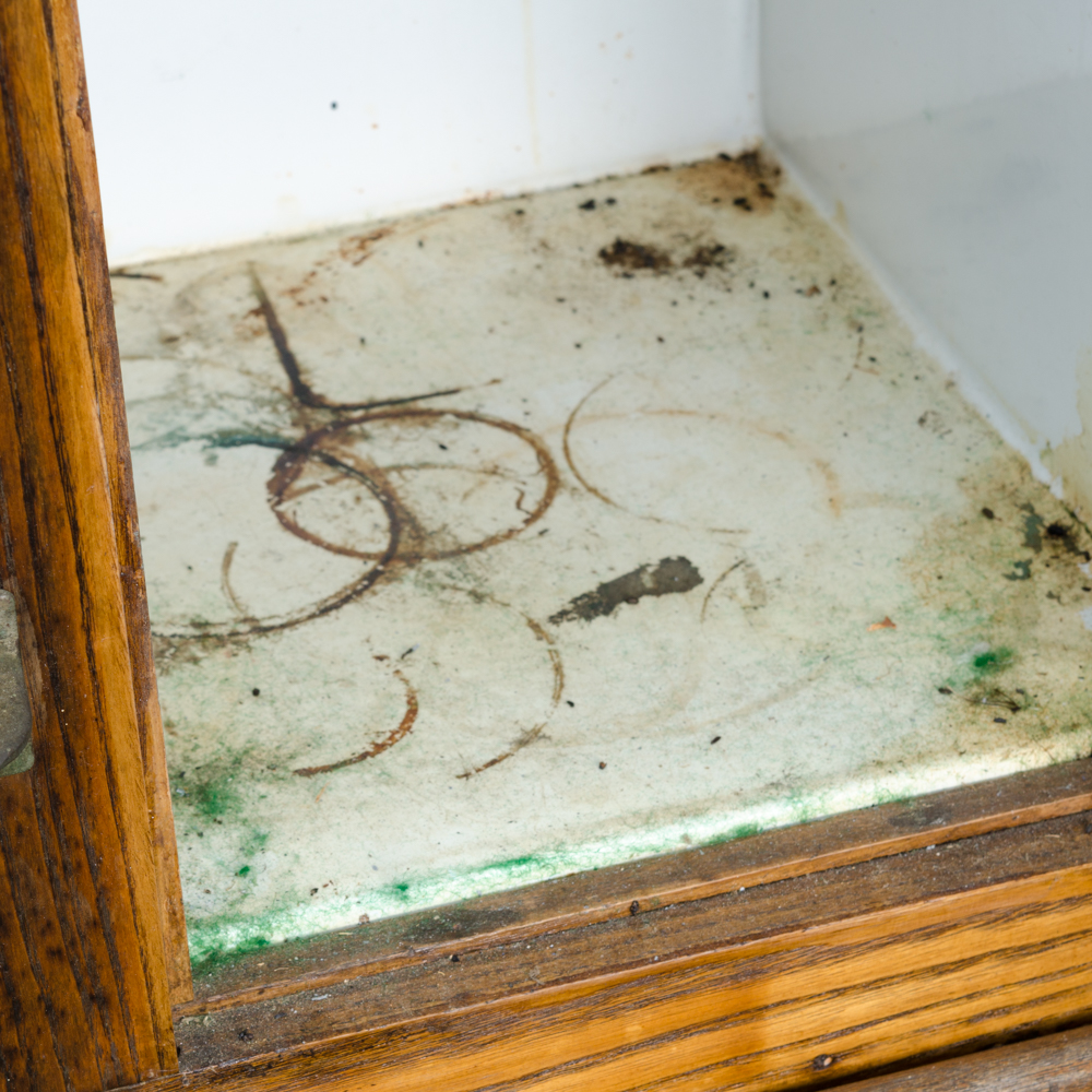 Vintage Rose FrostAir Ice Box