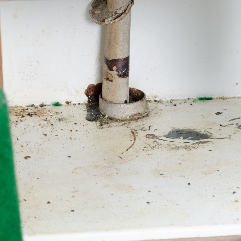 Vintage Rose FrostAir Ice Box