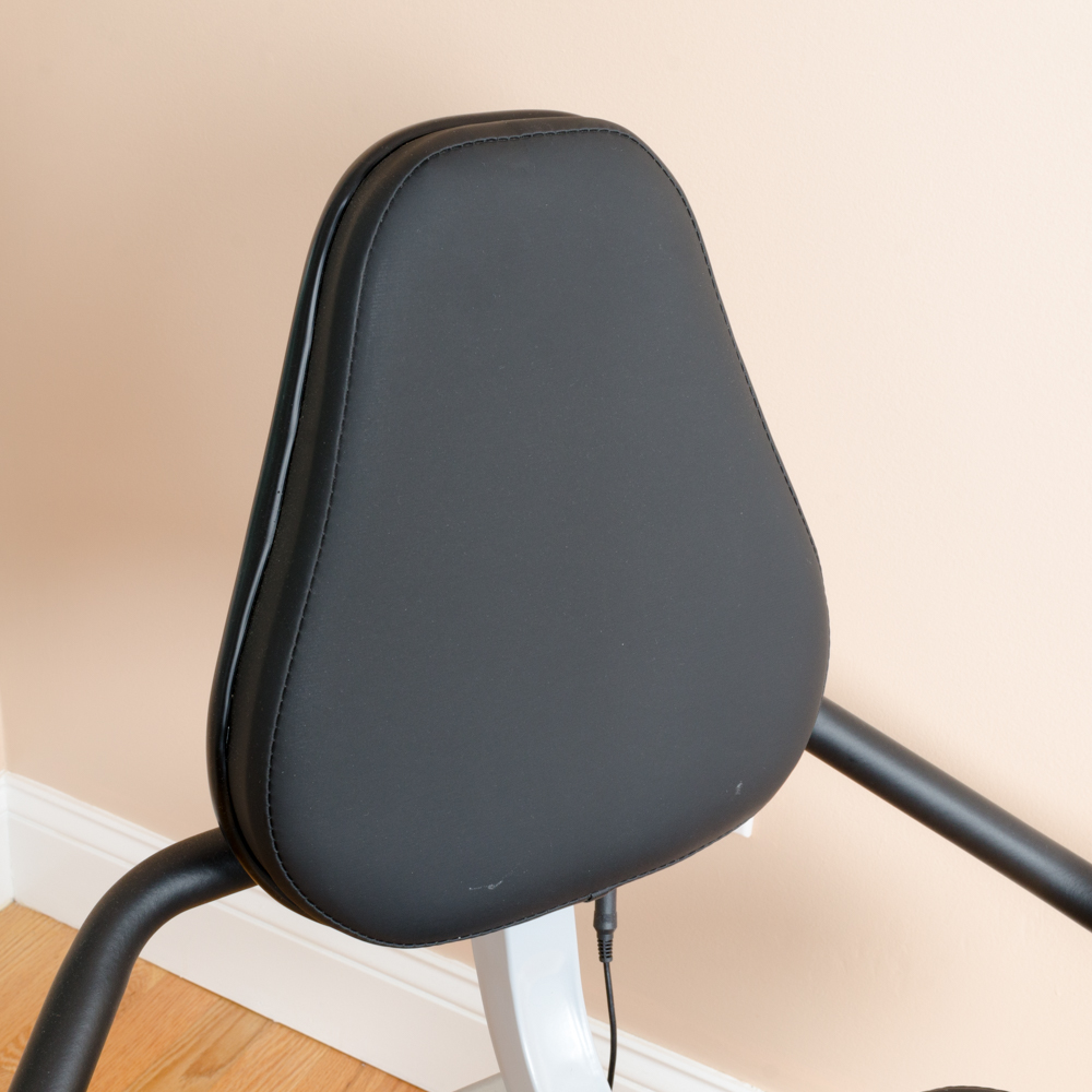 Sunny Recumbent Bike