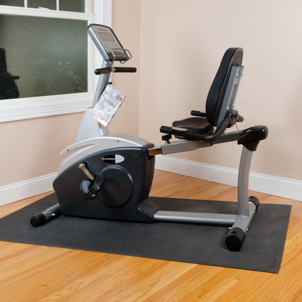 Schwinn 203 Recumbent Bike