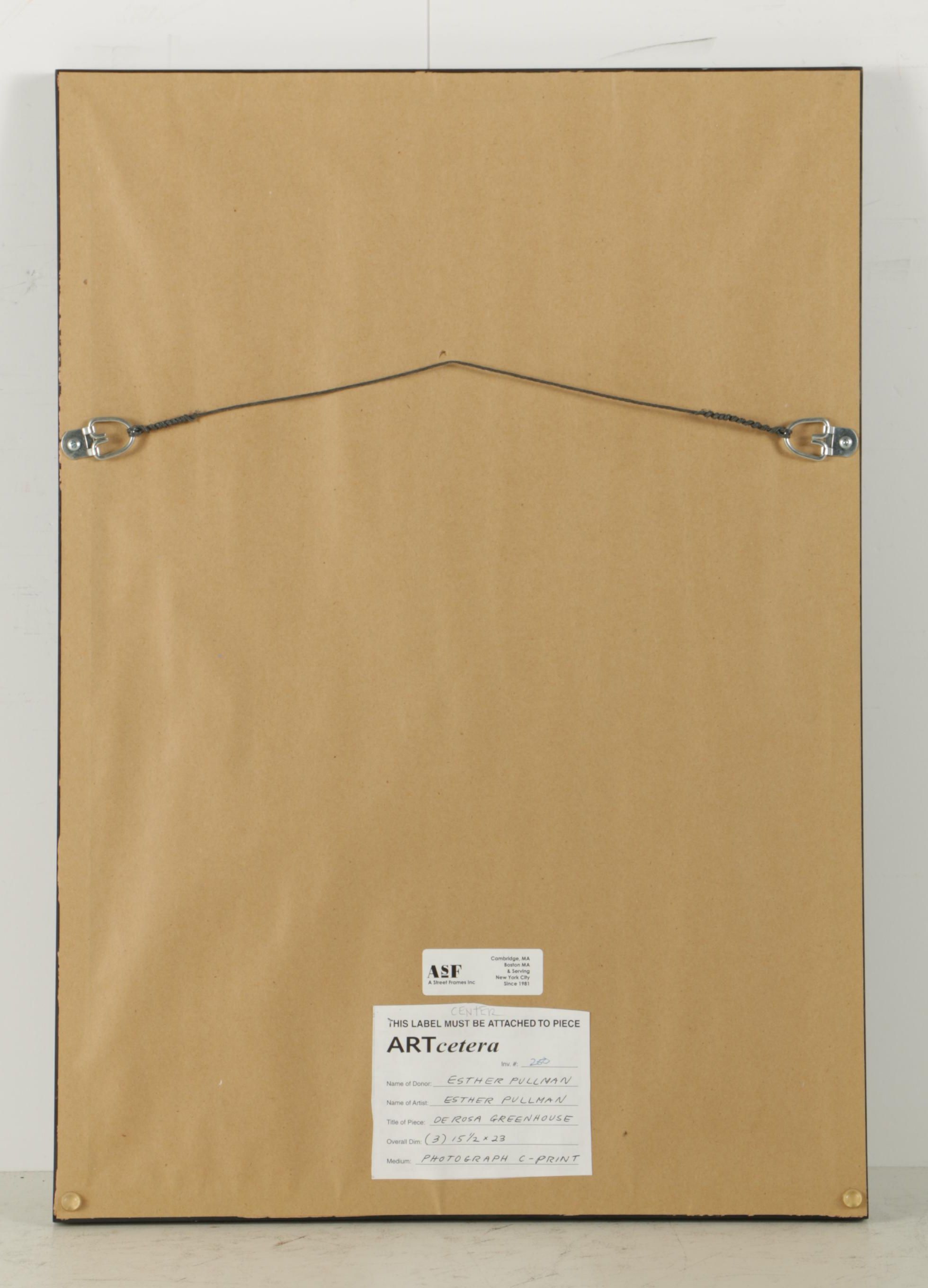 Esther Pullman C-Print Photographs "De Rosa Greenhouse"