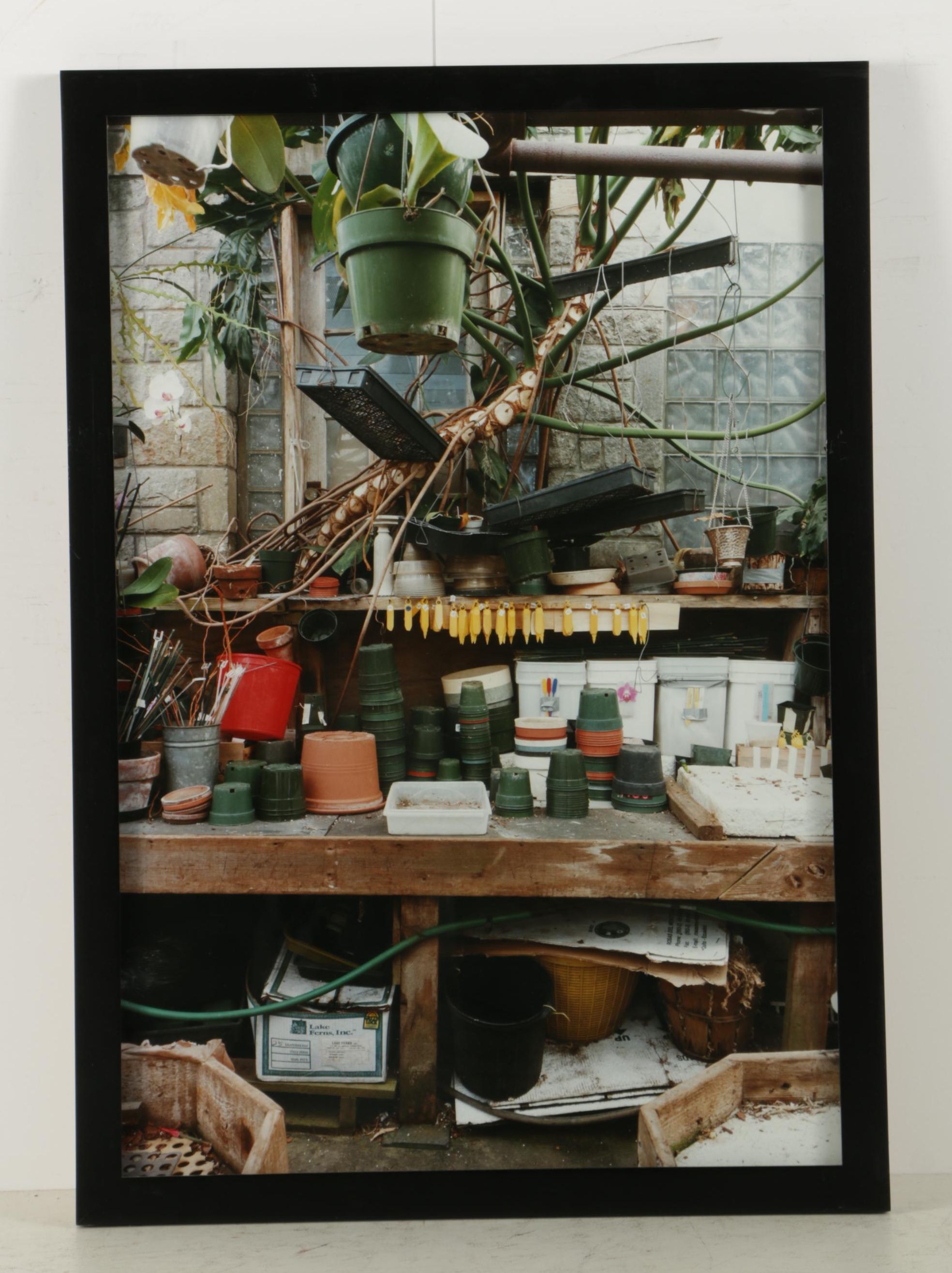 Esther Pullman C-Print Photographs "De Rosa Greenhouse"