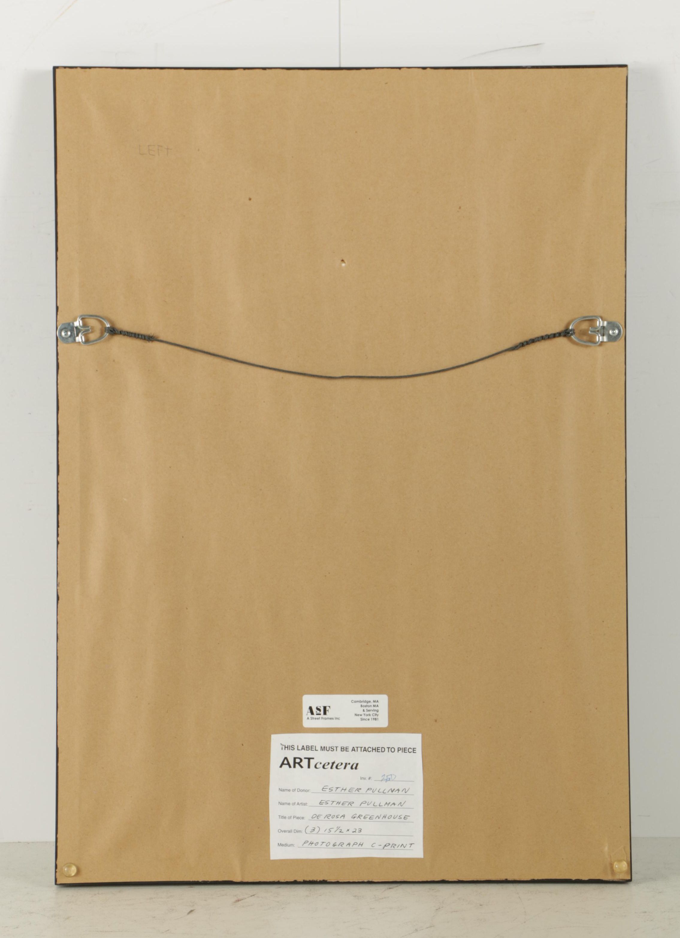 Esther Pullman C-Print Photographs "De Rosa Greenhouse"