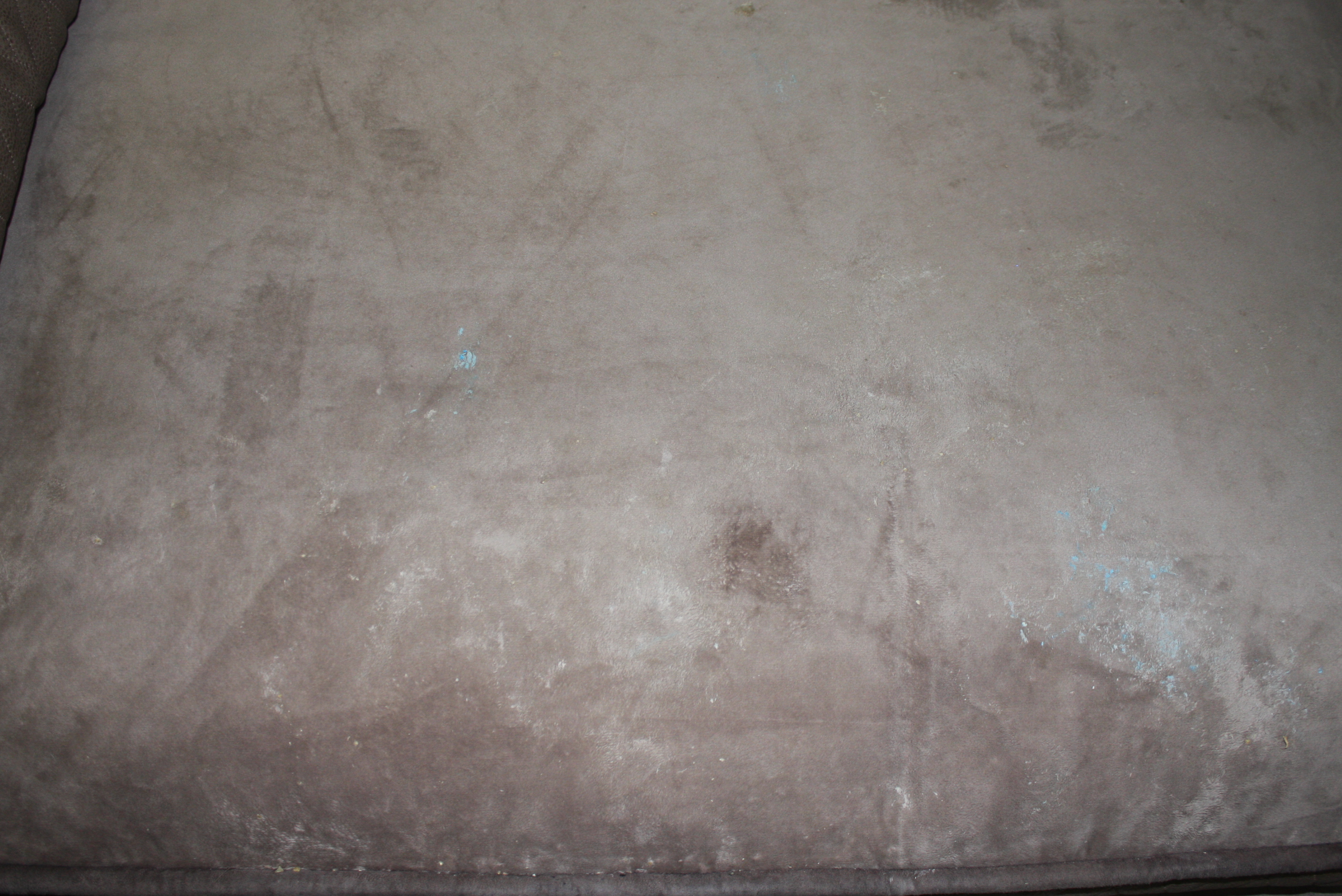 Kirkland Padded Dog Bed