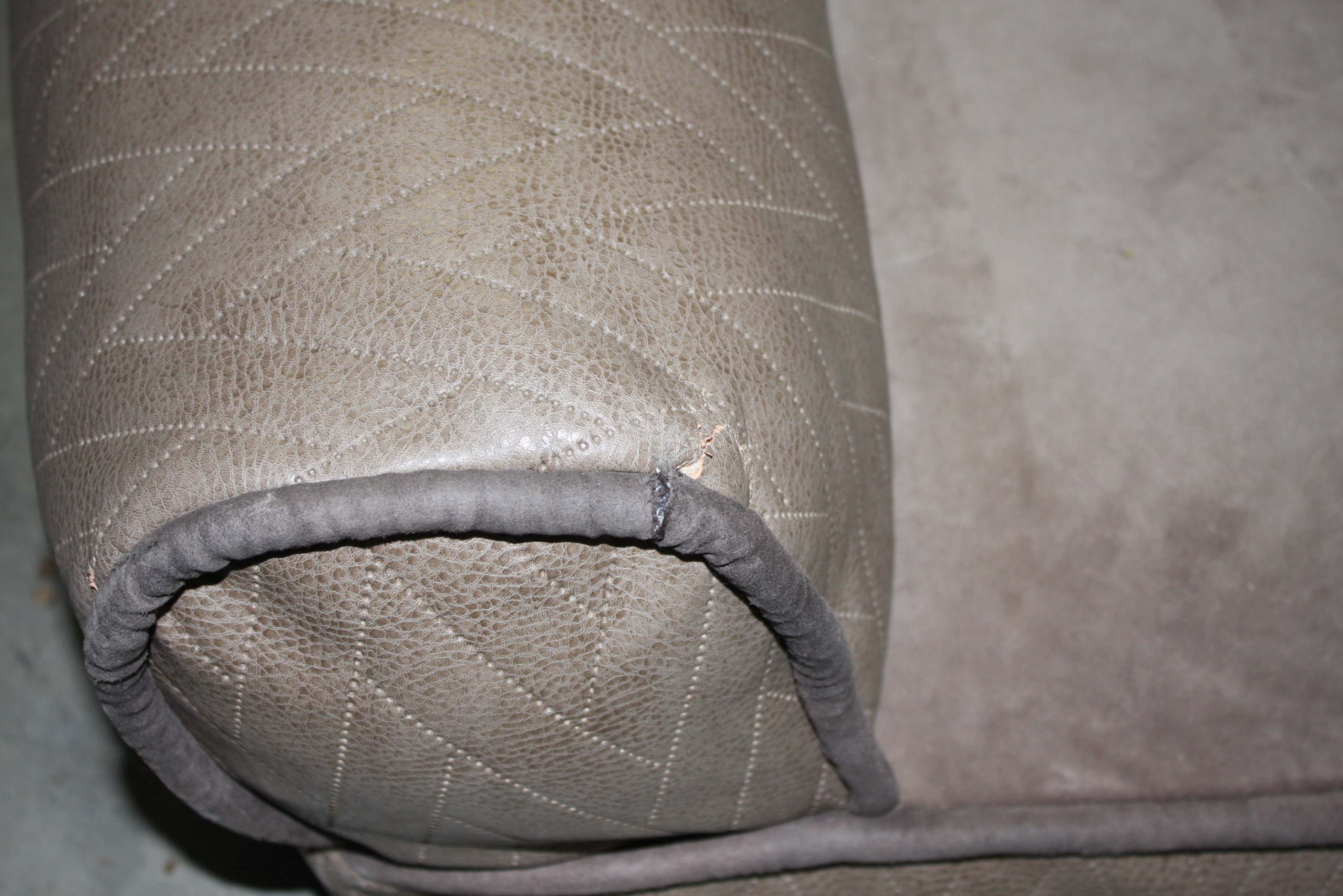 Kirkland Padded Dog Bed