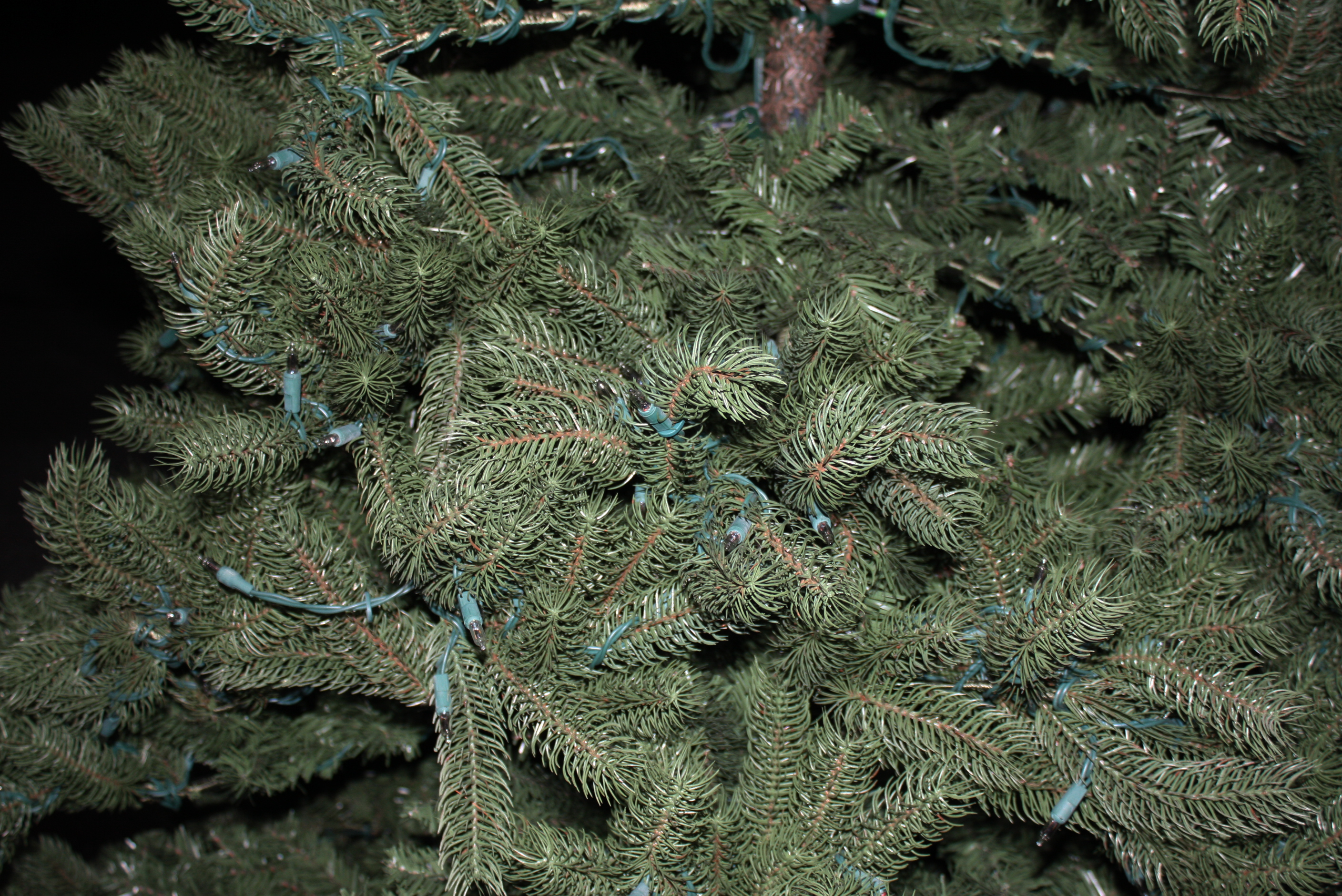 Pre-Lit Christmas Tree