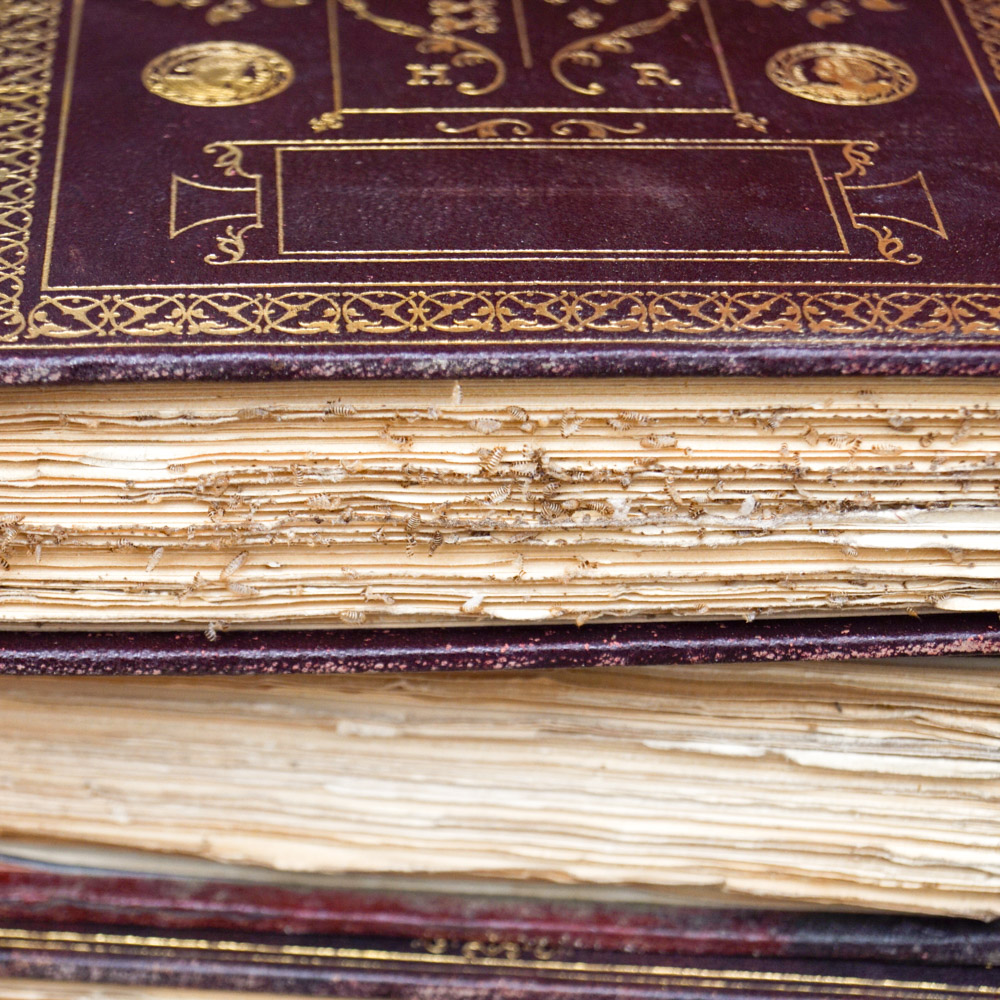 Vintage History Book Collection "The Great Events by Famous Historians"