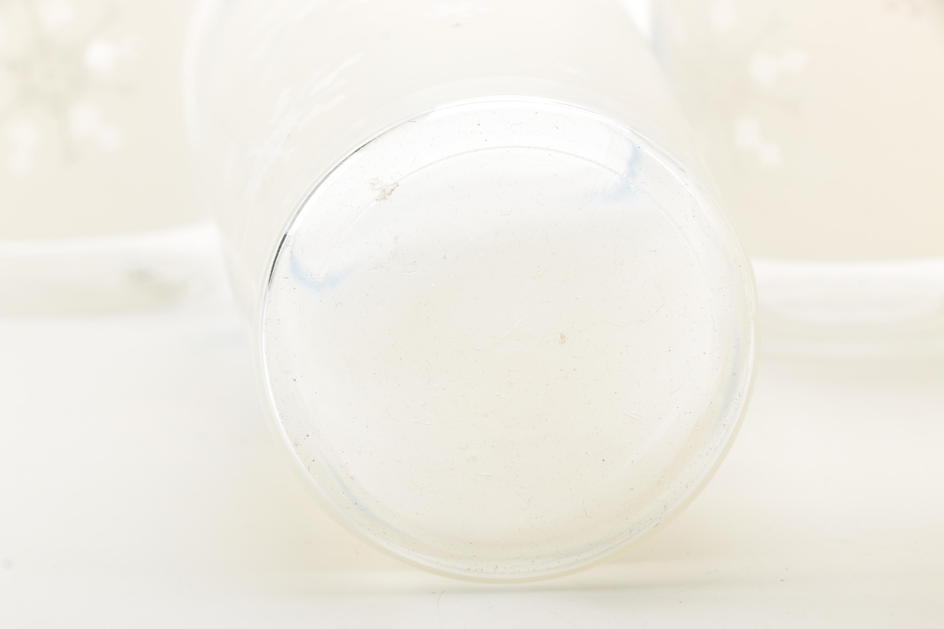 Vintage Snowflake Glasses