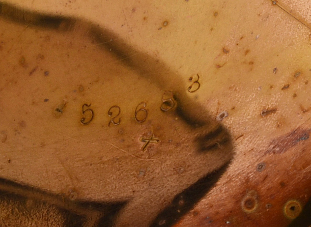 Charles W. Crankshaw Gold Filled Pocket Watch