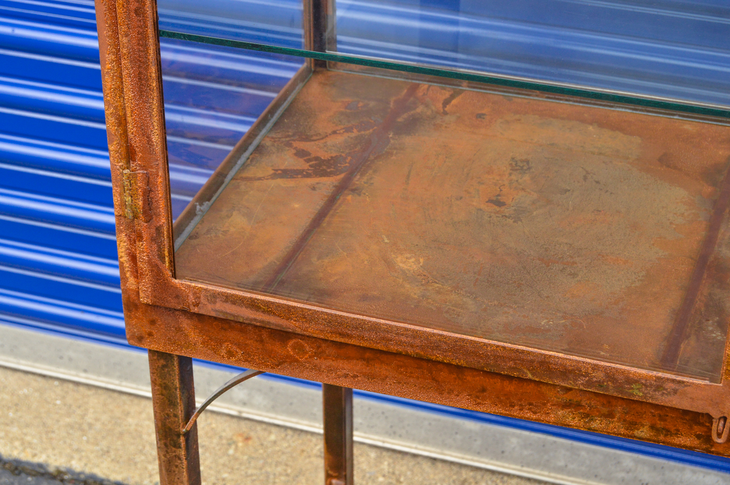 Standing Glass and Metal Terrarium