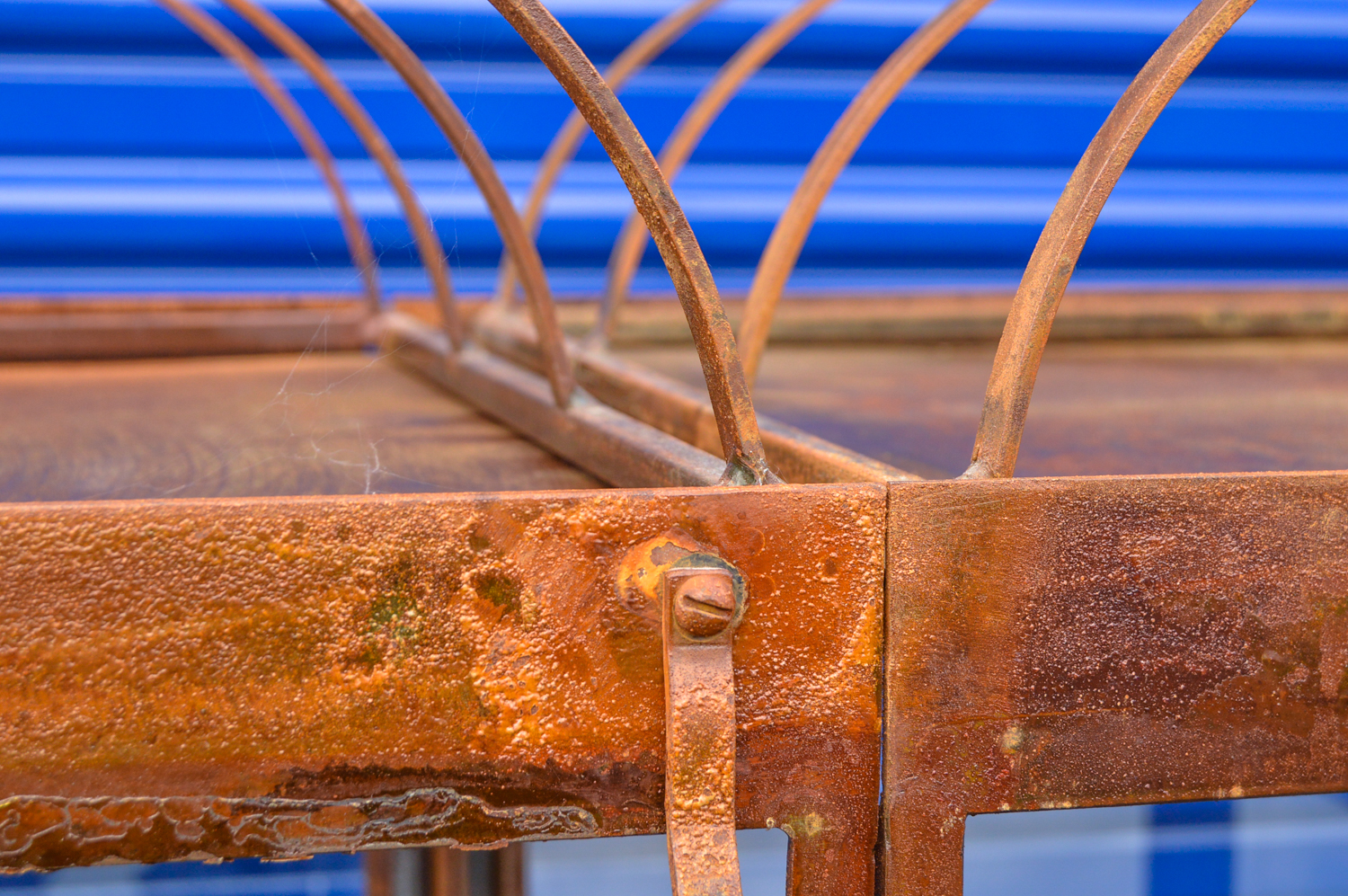 Standing Glass and Metal Terrarium