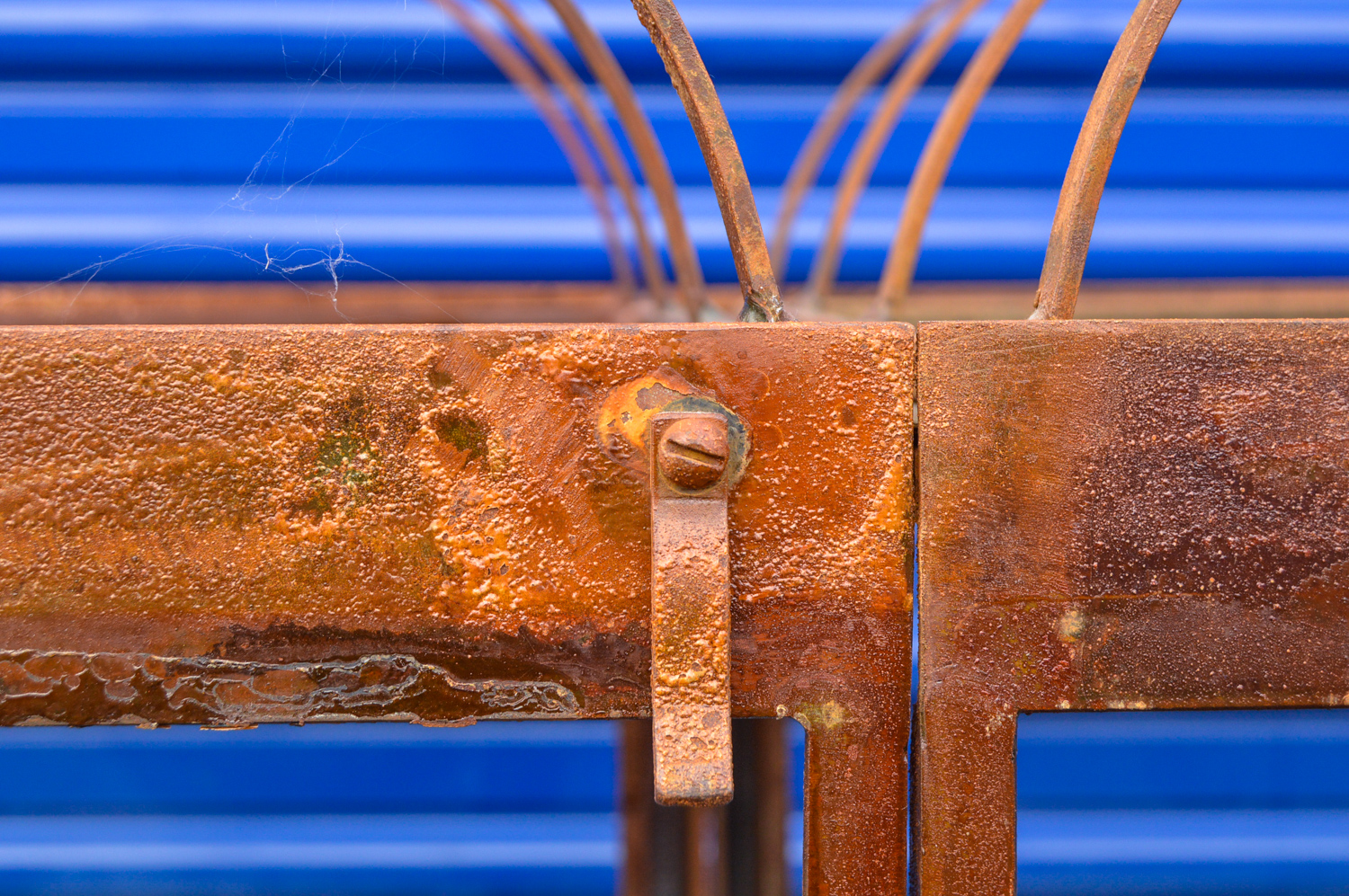 Standing Glass and Metal Terrarium