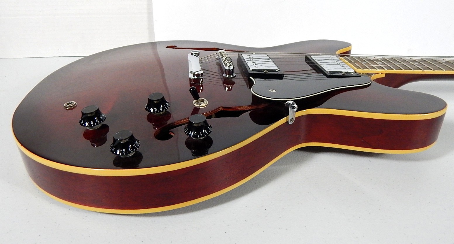 Hohner Professional SE 35 Hollow Body Electric Guitar and Case