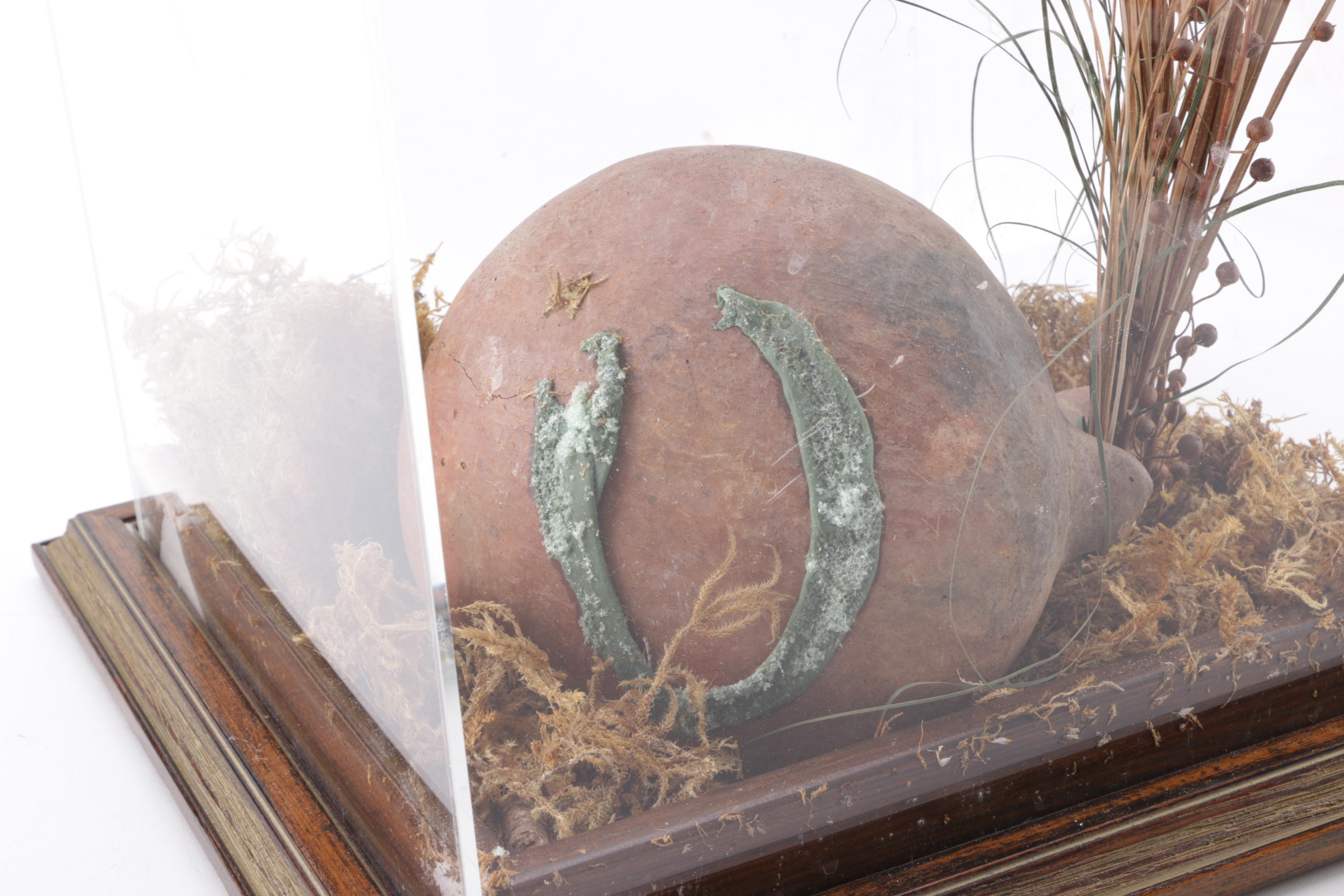 Pottery Bird in Plastic Display Case