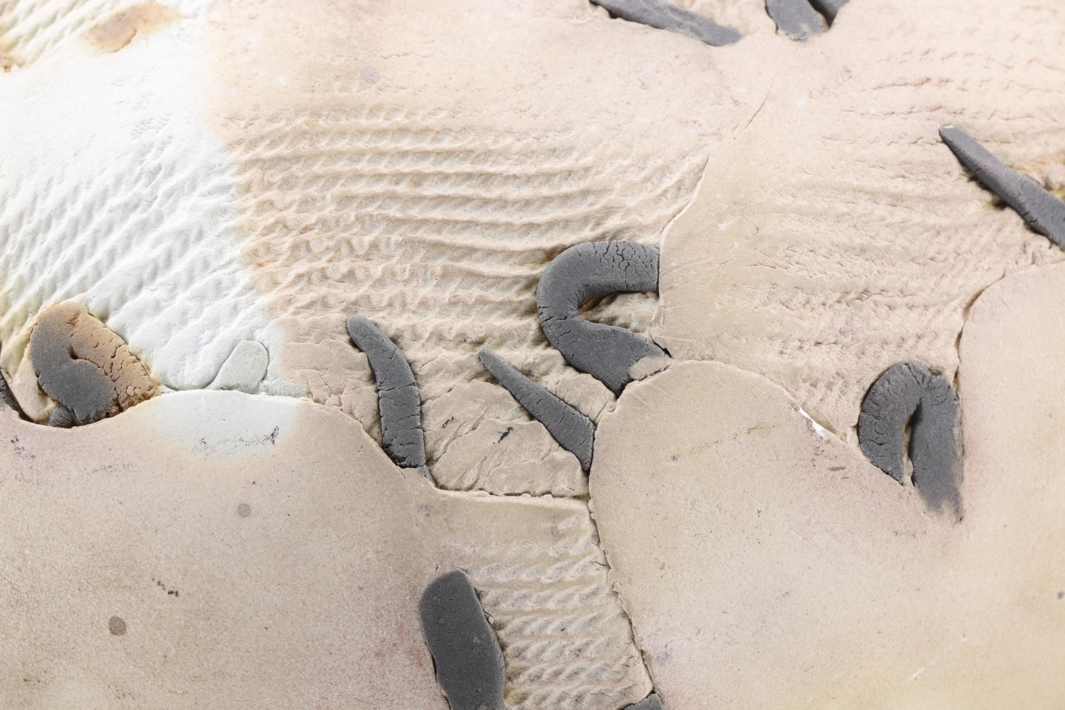 Studio Pottery Assortment