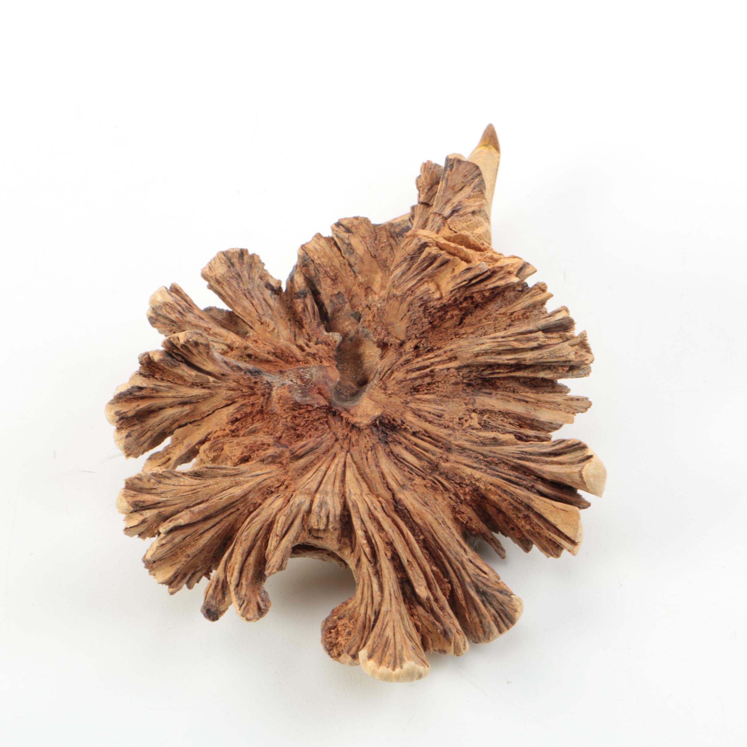 Royal Crown Derby "Imari" Frog Paperweight with Carved Eagle's Head