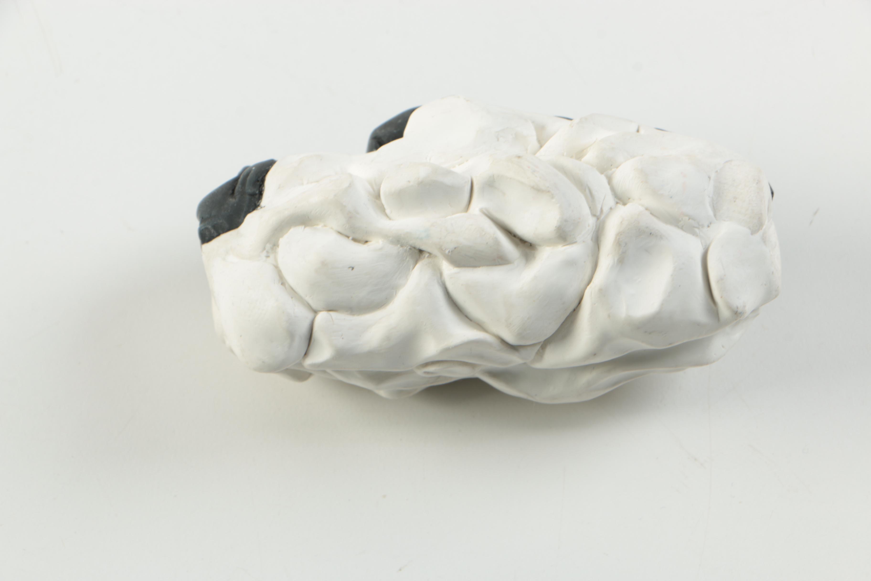 Abstract Ceramic Forms