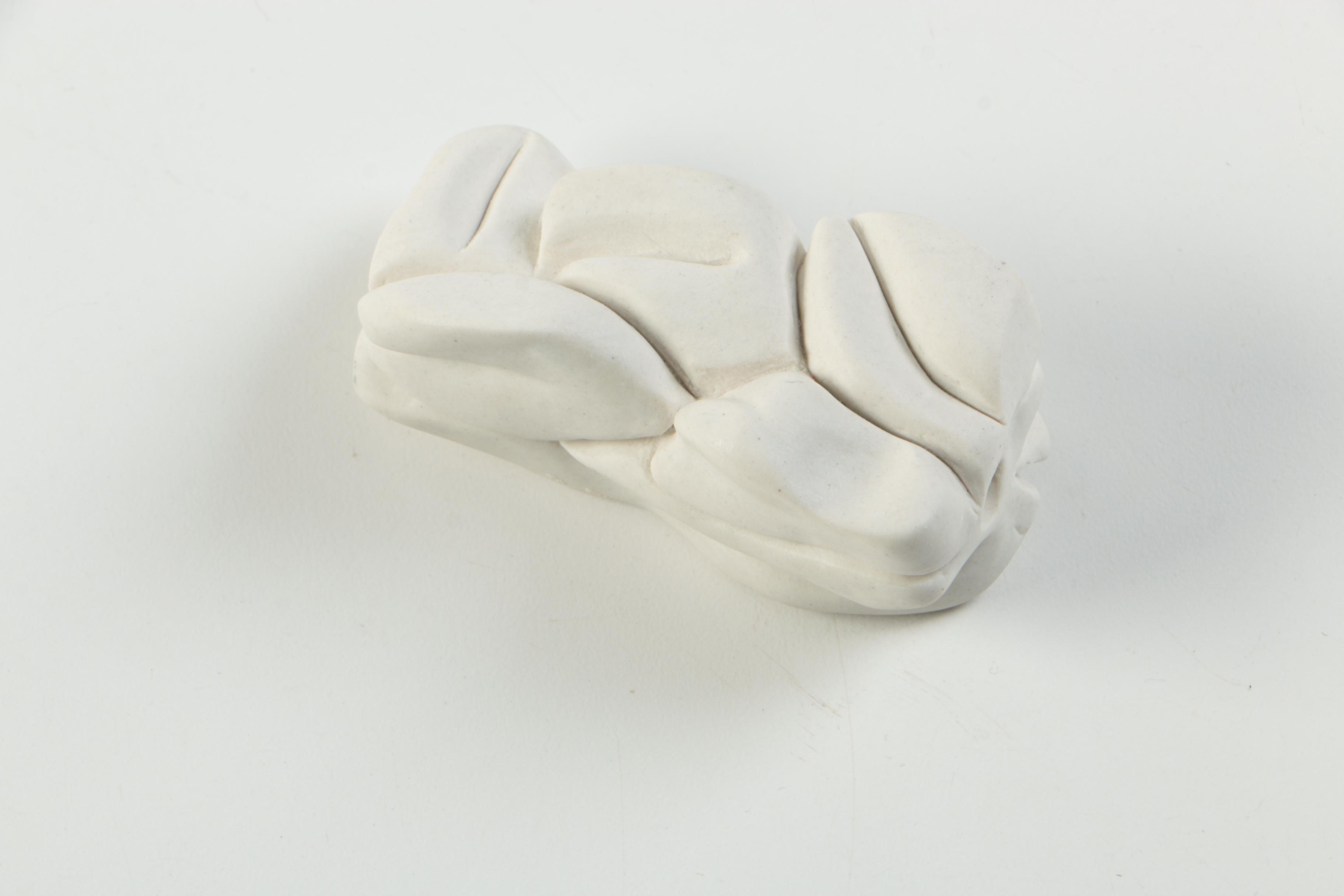 Abstract Ceramic Forms