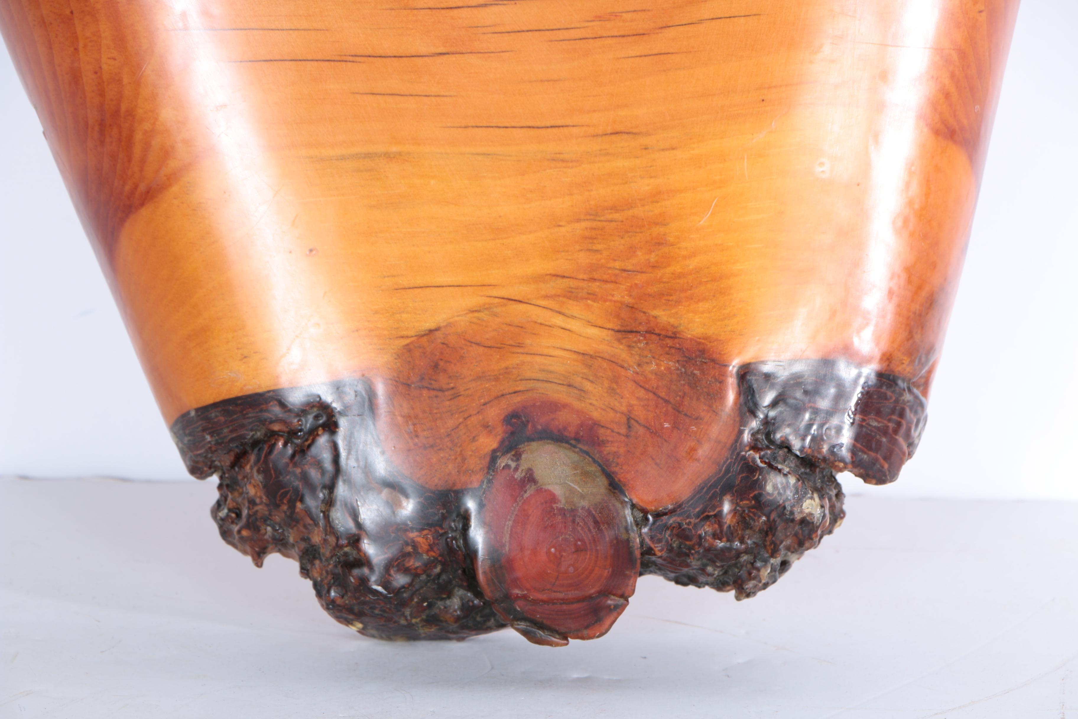 Wedge of Wood Wall Decor