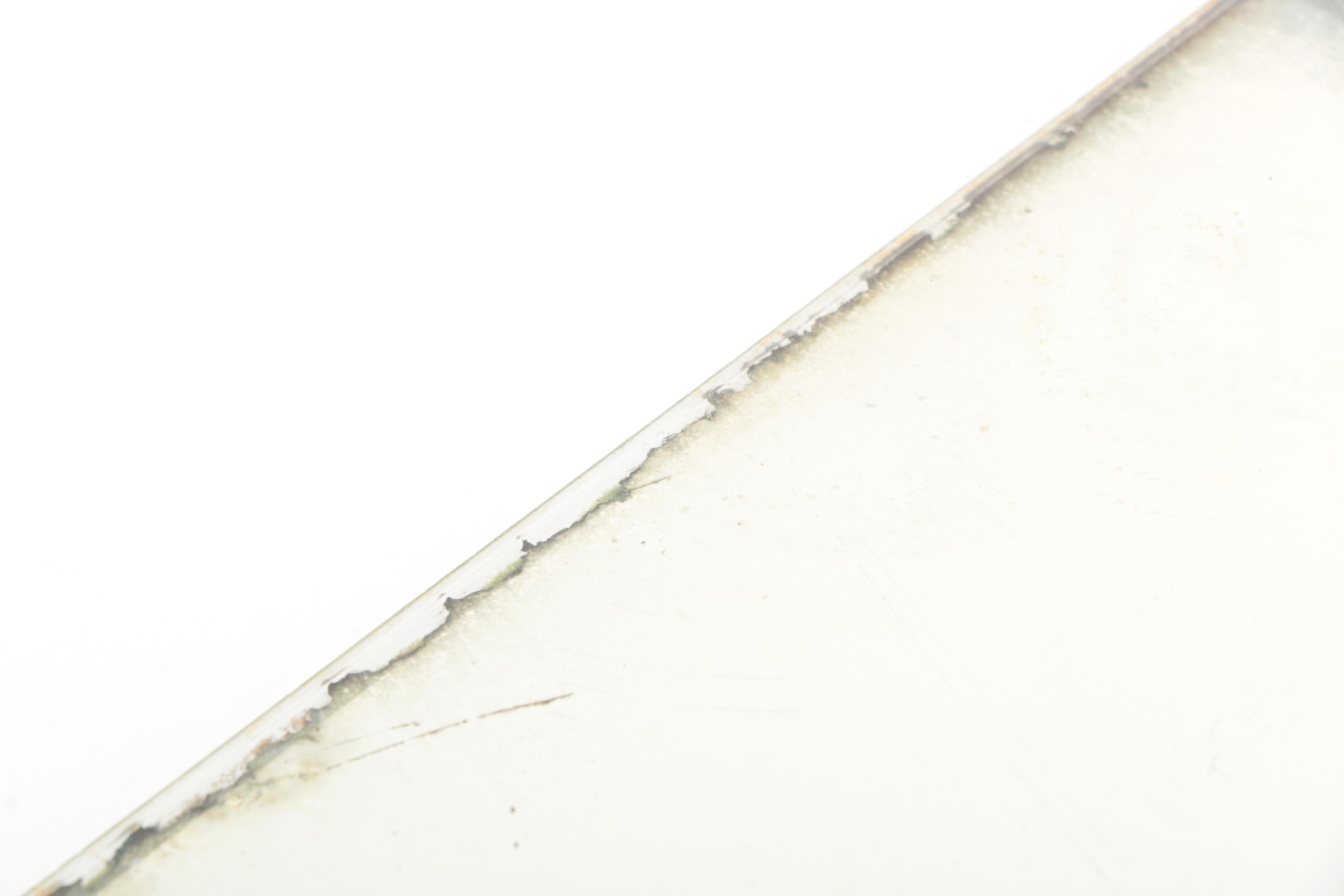 Floral Mirrored Vanity Tray