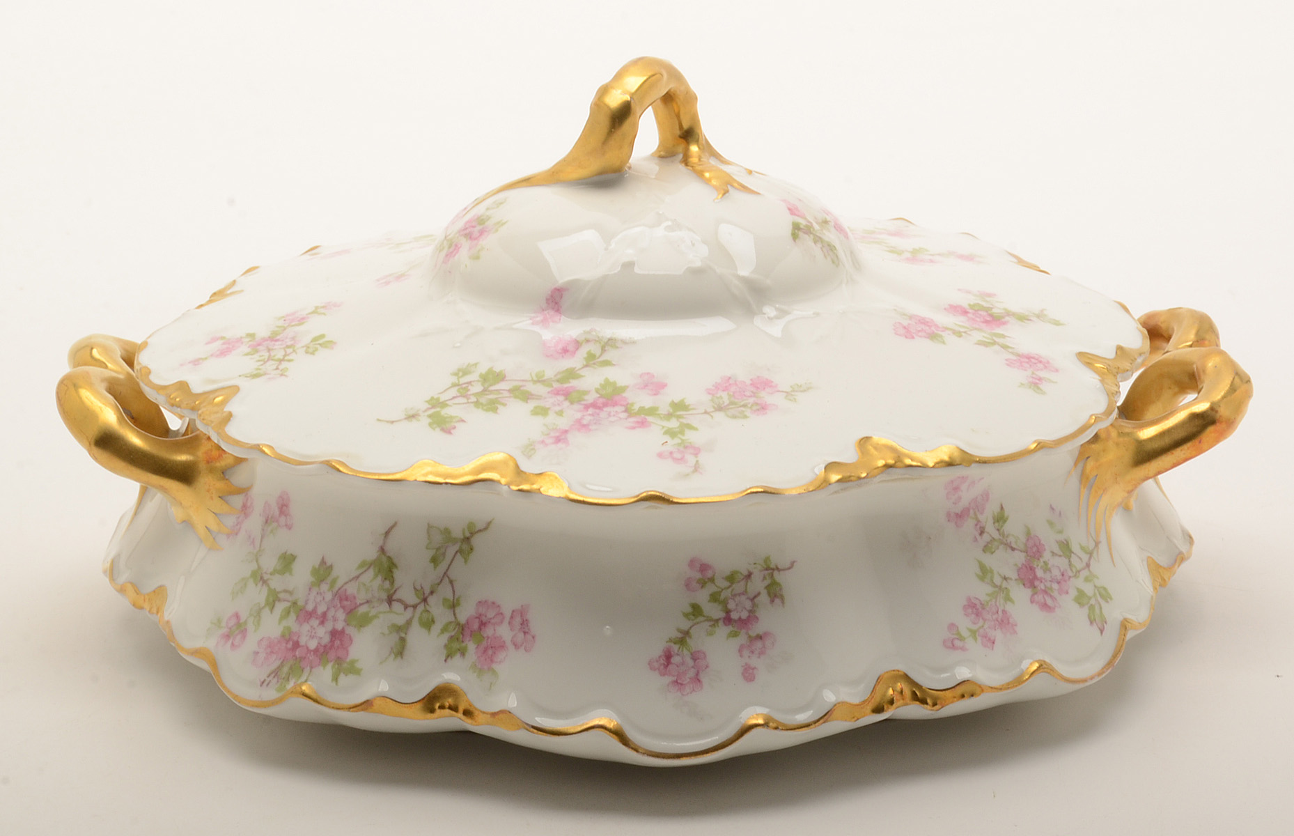 Haviland Limoges “The Miramar” Porcelain Tableware