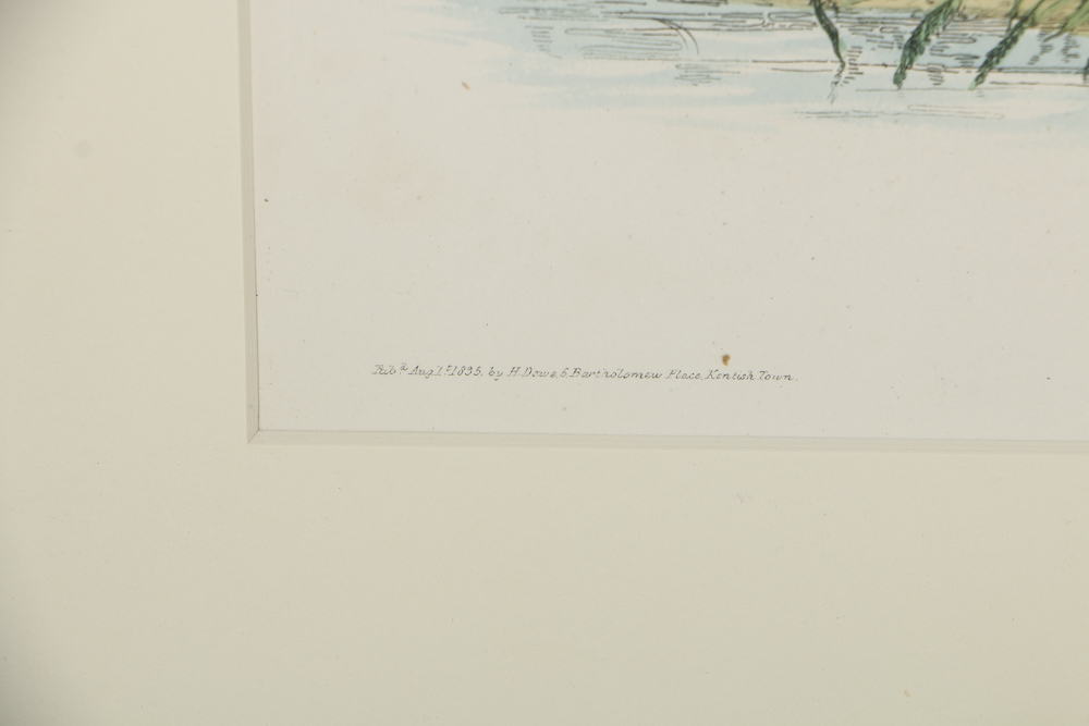 After 19th-Century Lithograph on Paper of a "Chub"