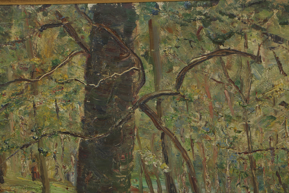 R. Tillwetz Oil Painting on Board of Woodland Scene