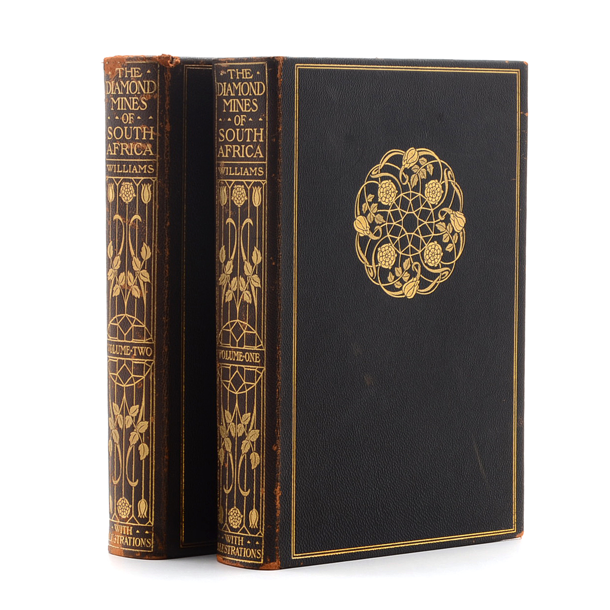 "The Diamond Mines of South Africa" by Gardner F. Williams, Published in 1905