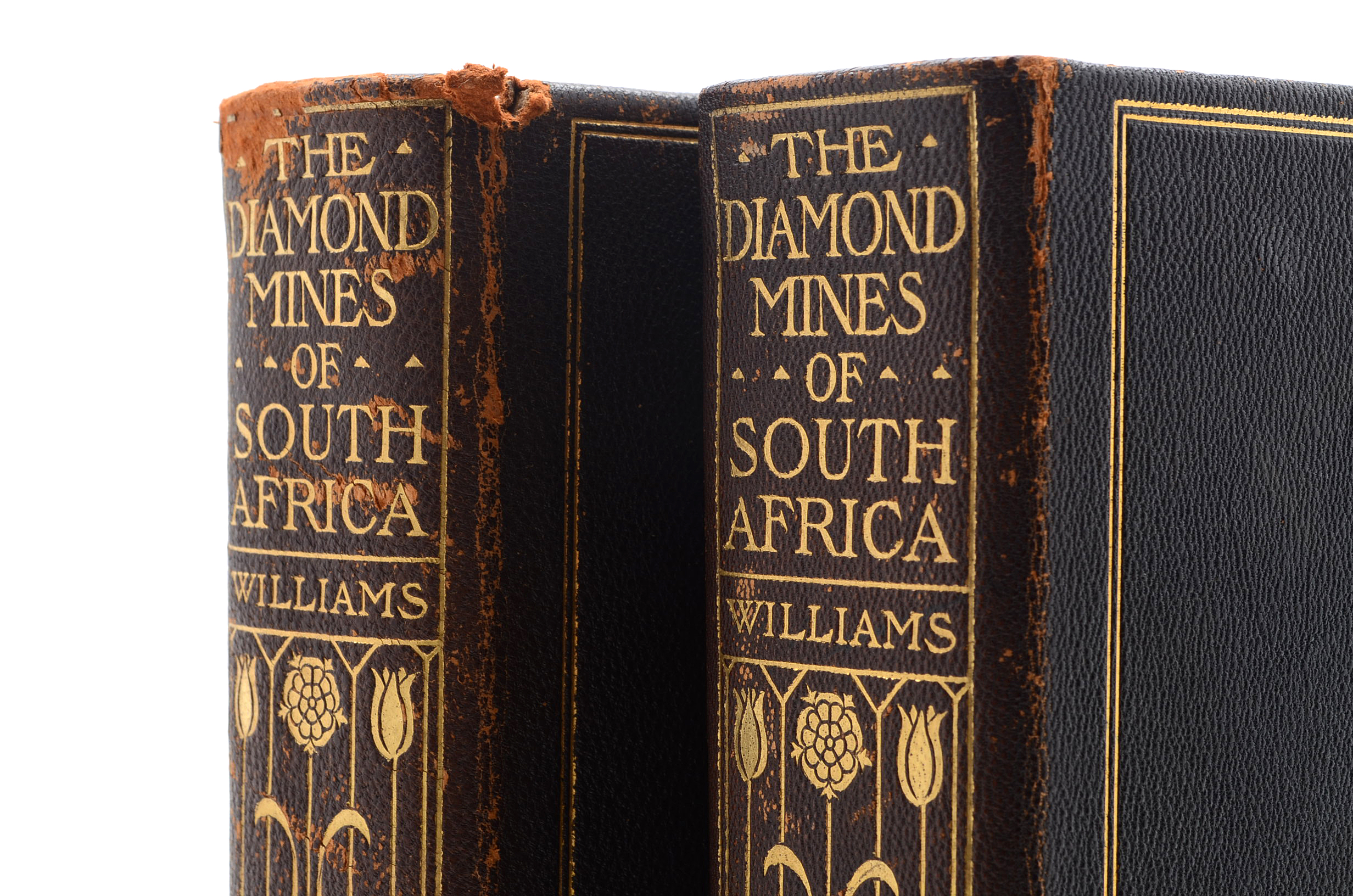 "The Diamond Mines of South Africa" by Gardner F. Williams, Published in 1905