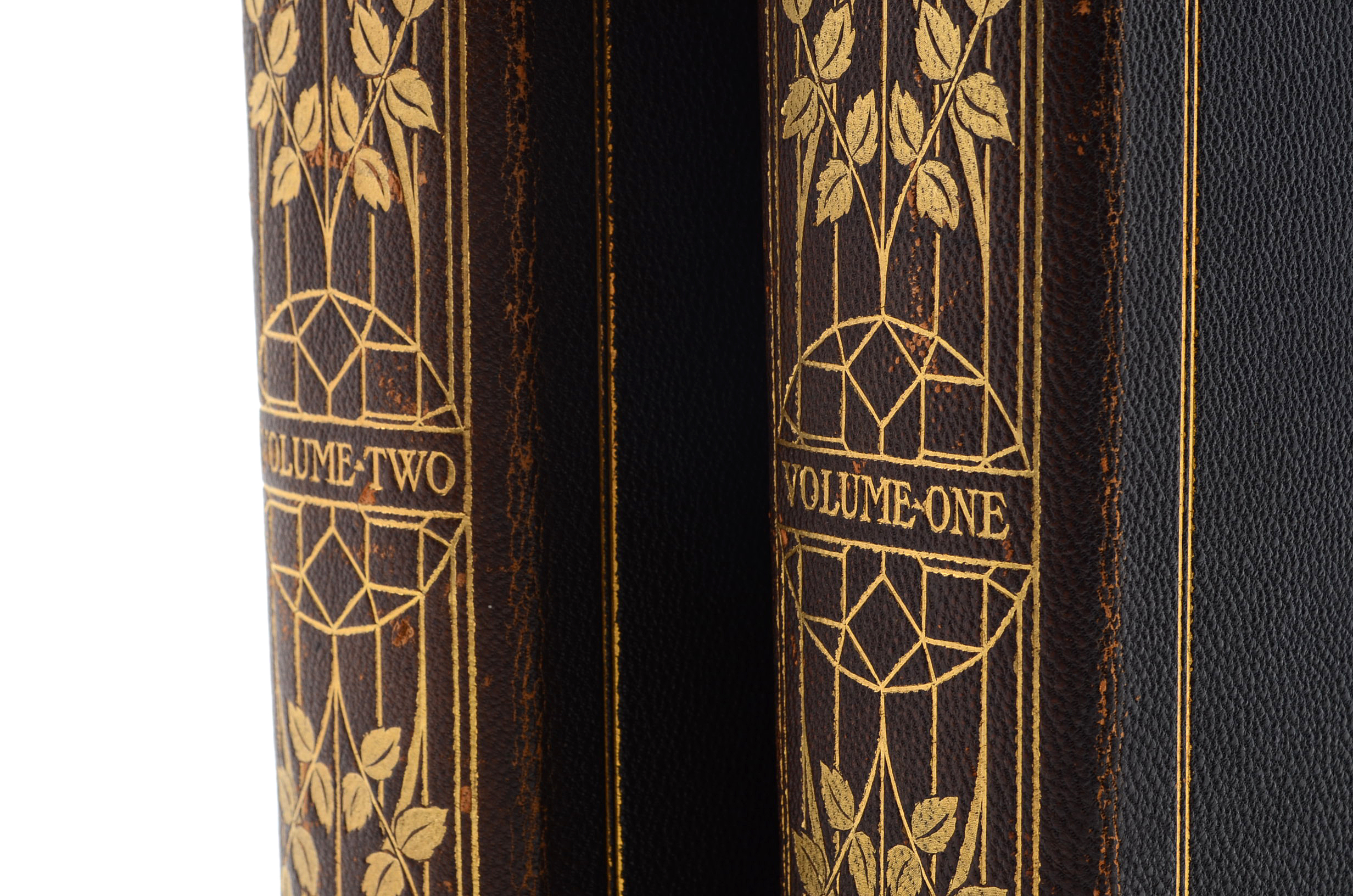 "The Diamond Mines of South Africa" by Gardner F. Williams, Published in 1905