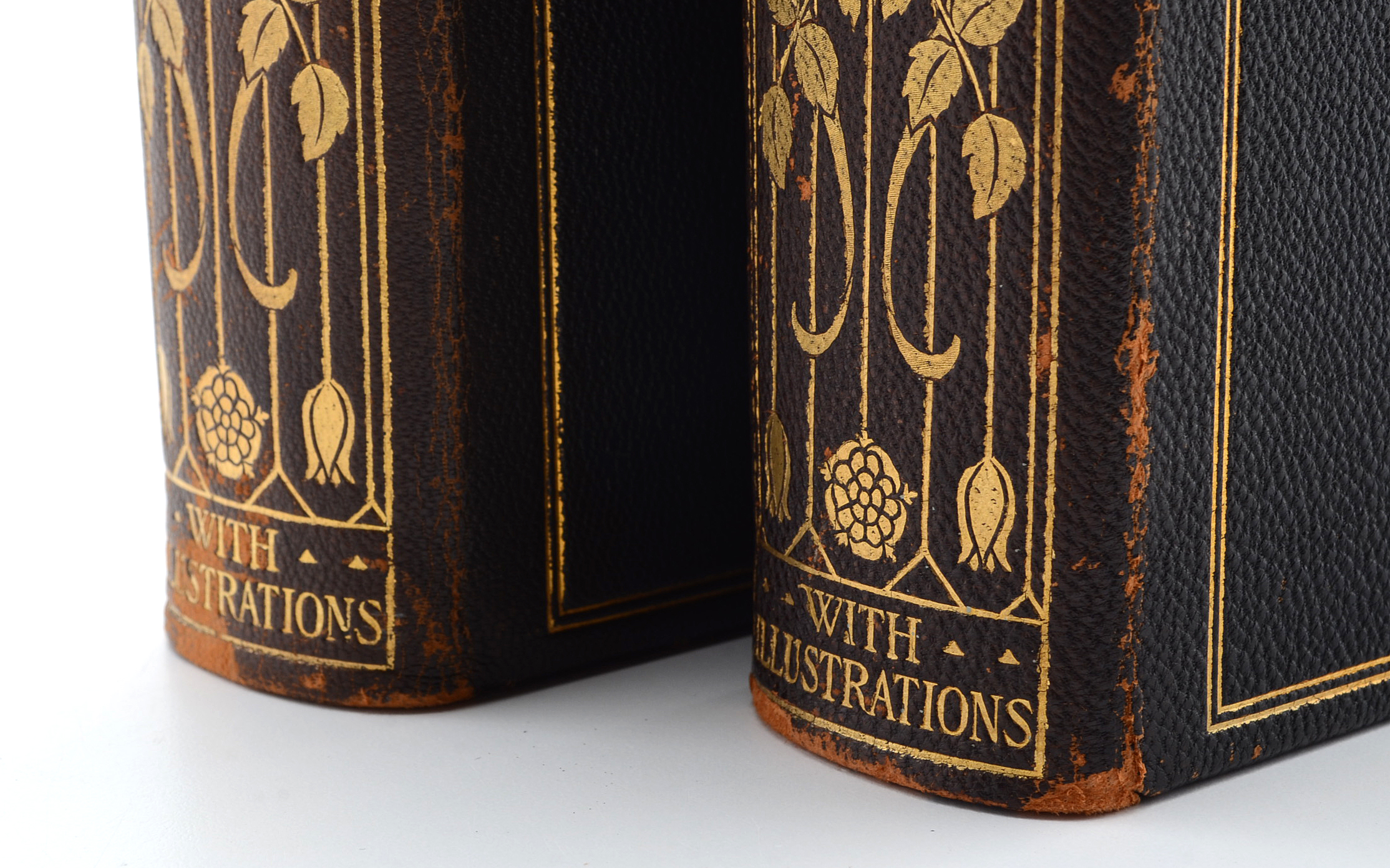 "The Diamond Mines of South Africa" by Gardner F. Williams, Published in 1905