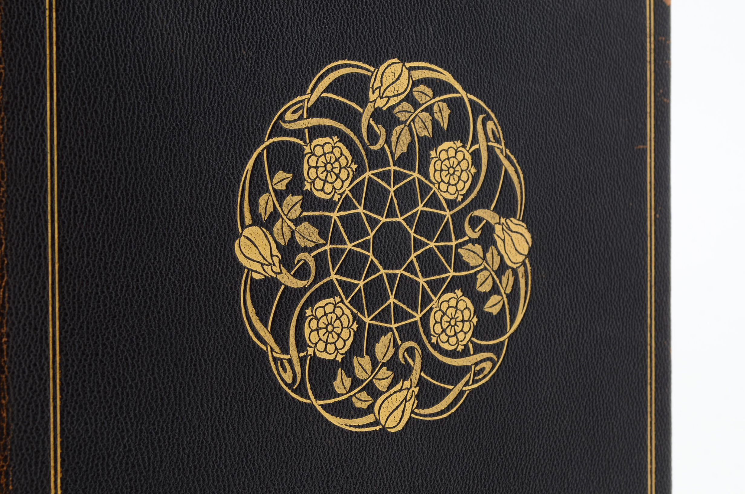 "The Diamond Mines of South Africa" by Gardner F. Williams, Published in 1905